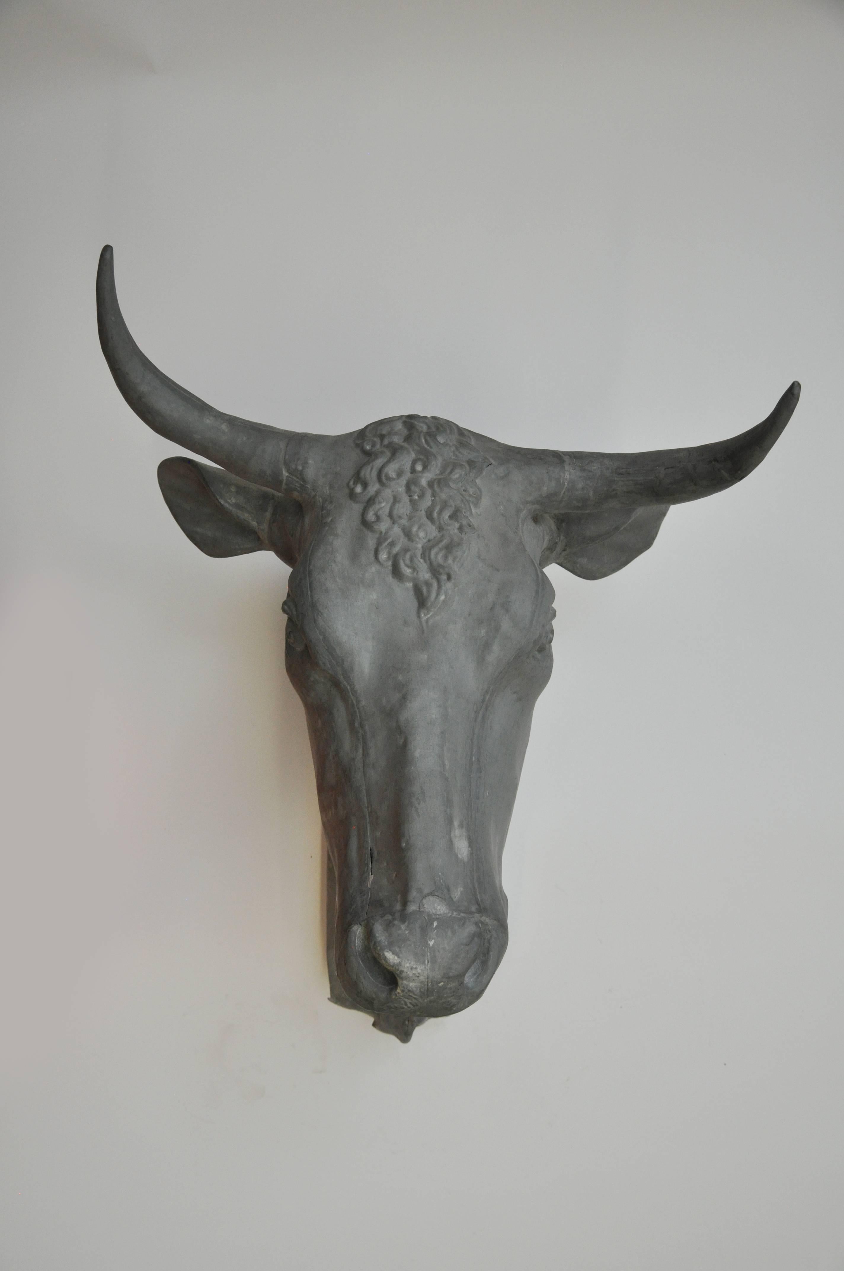 An exceptional French 19th century zinc bull's head with fine detailing,
circa 1850.