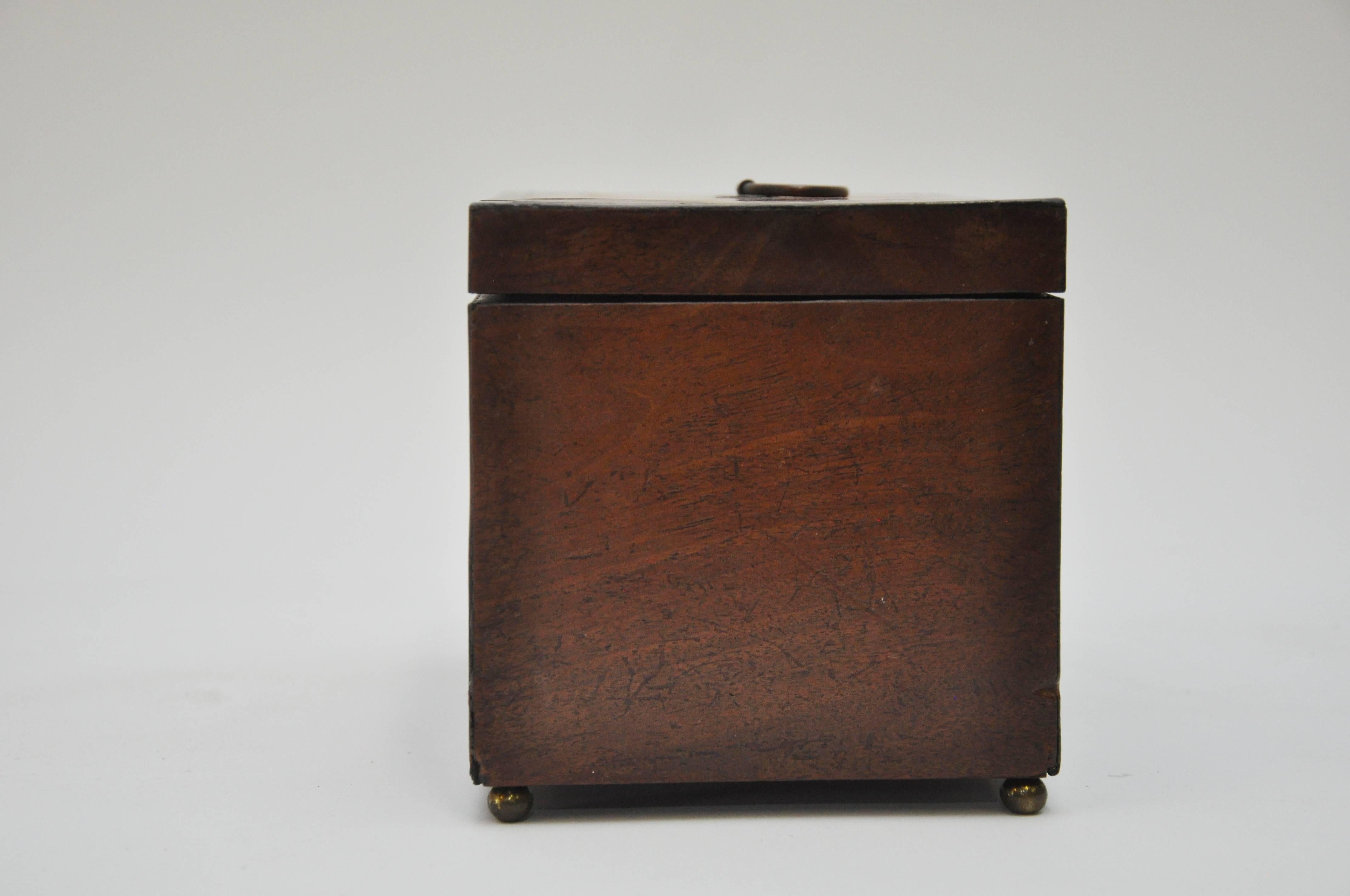 French Walnut Tea Caddy with Tortoise Inlay In Good Condition In Geneva, IL
