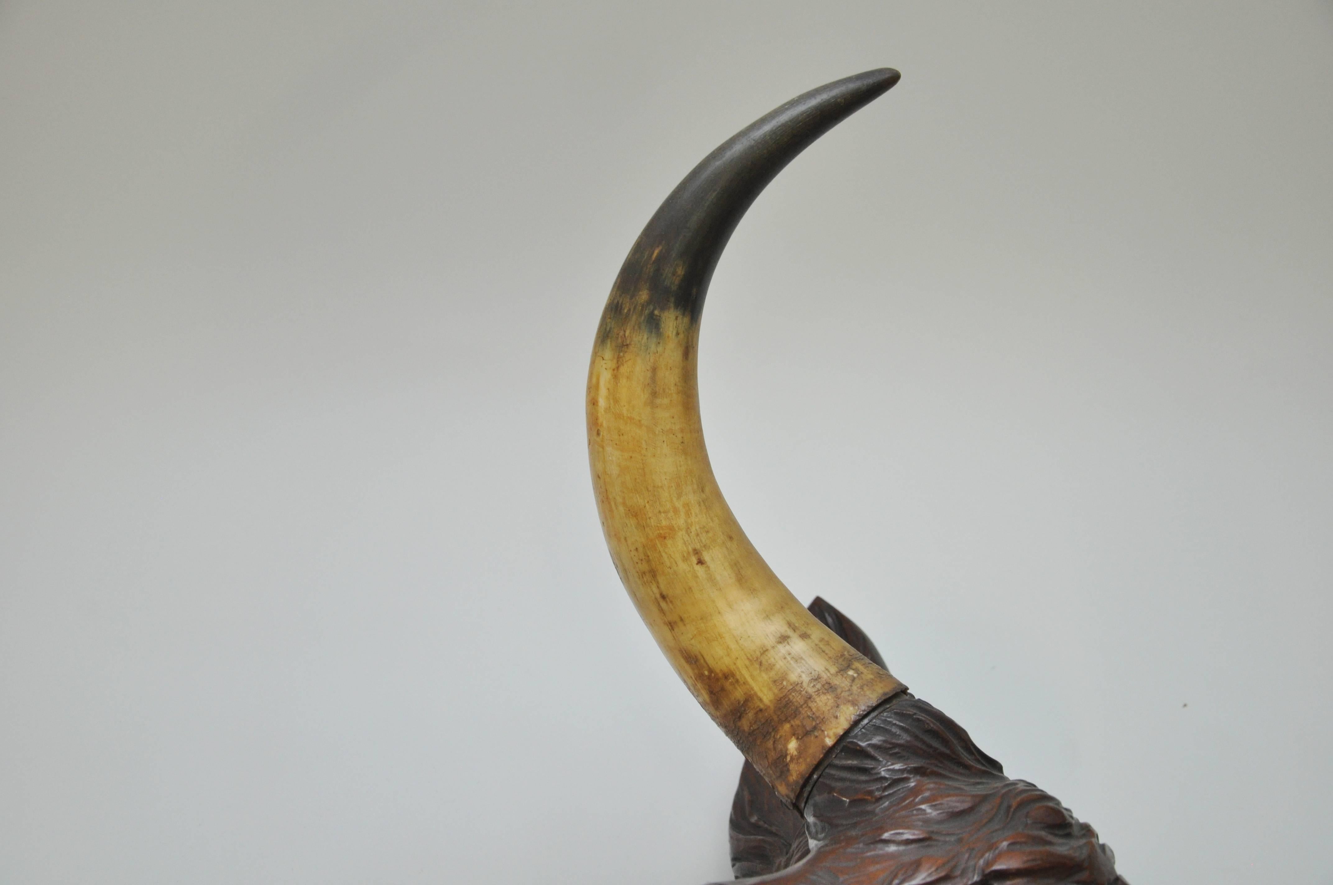 Large carved mahogany bull head. Horns are real horns from a bull. Possibly hung in a butcher shop.
