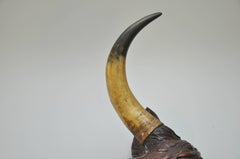 Mahogany Carved Bull Head from a Butchery, circa 1880