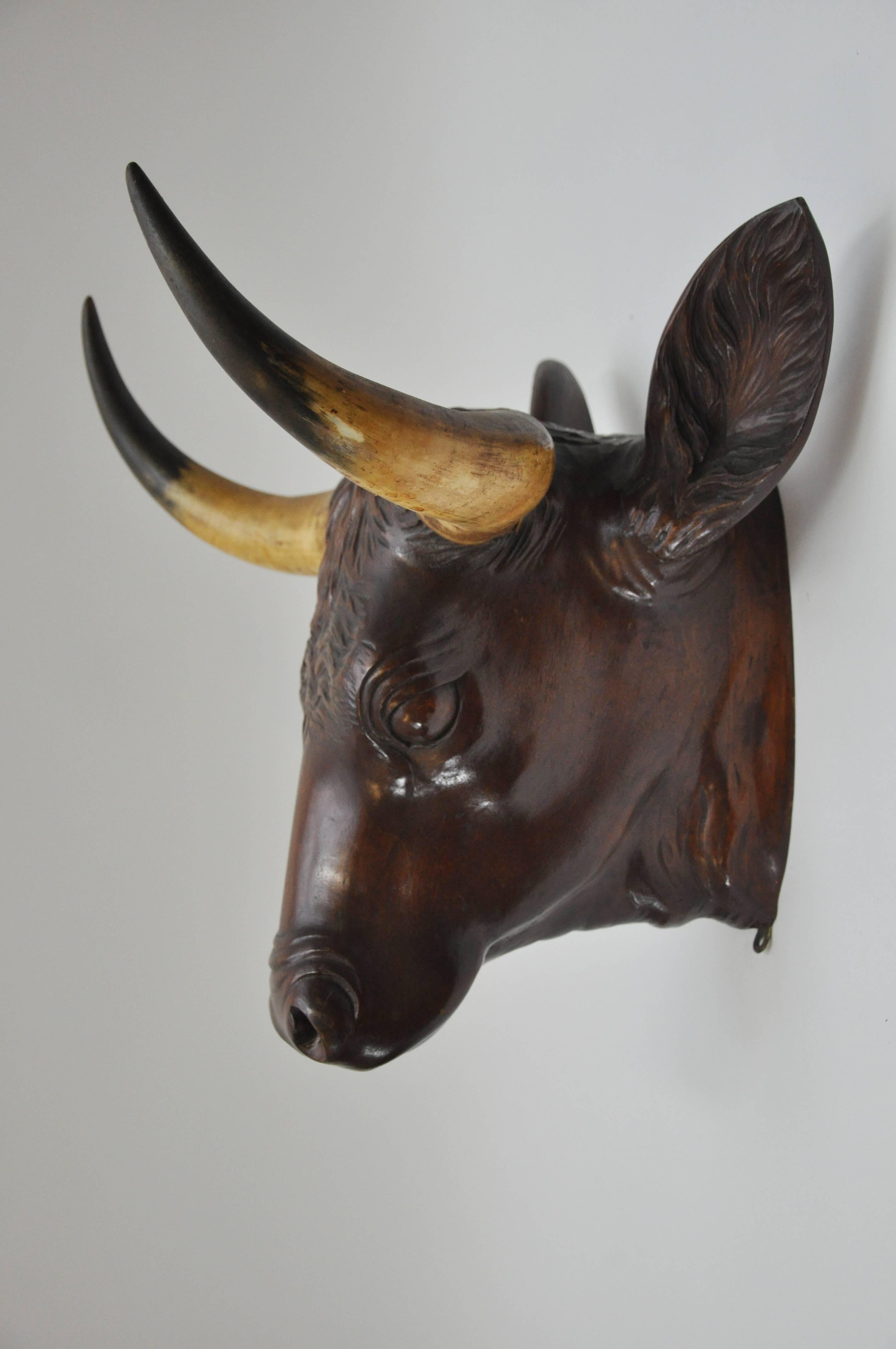 Belle Époque Mahogany Carved Bull Head from a Butchery, circa 1880 For Sale