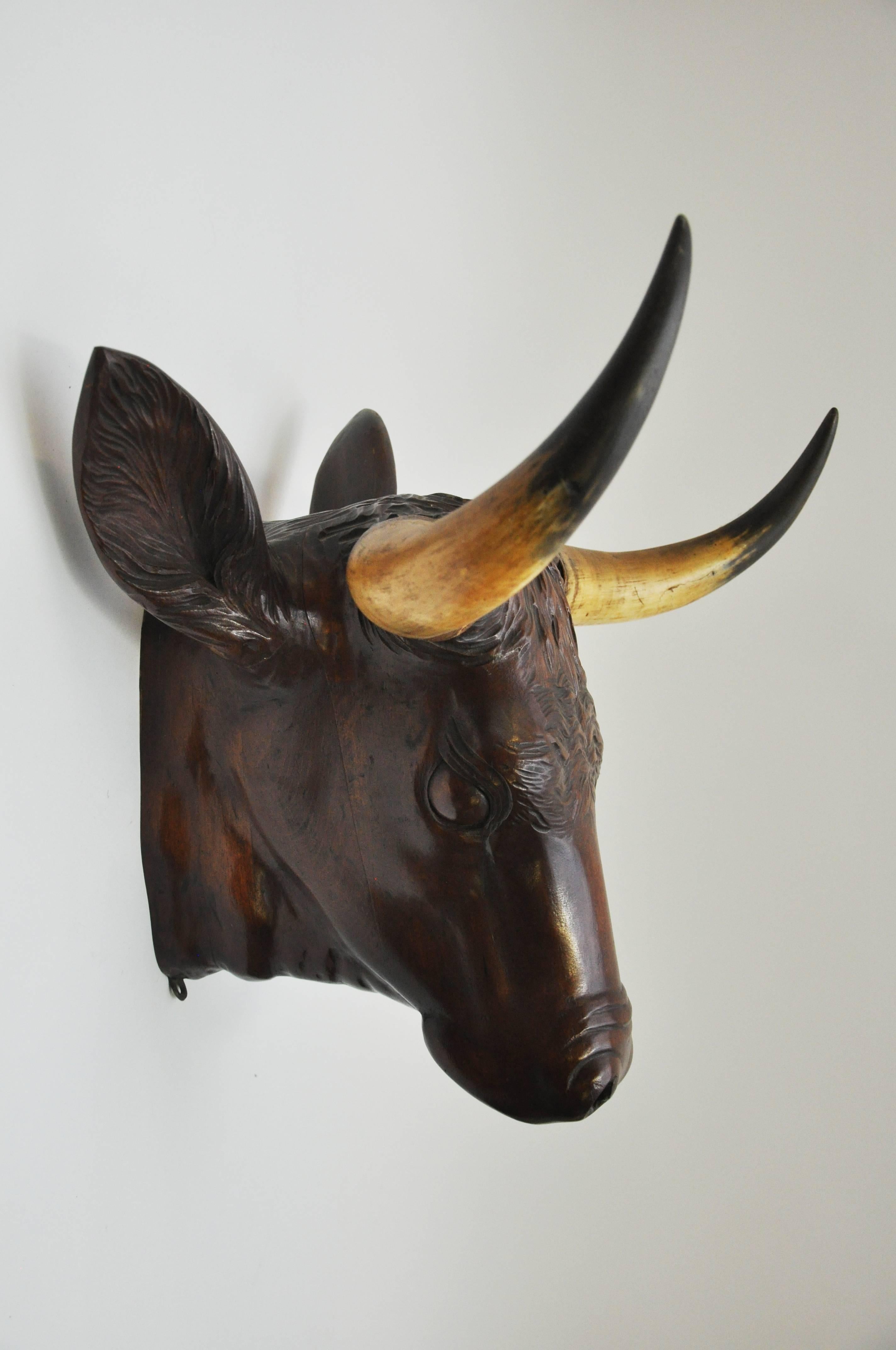 Mahogany Carved Bull Head from a Butchery, circa 1880 In Good Condition For Sale In Geneva, IL