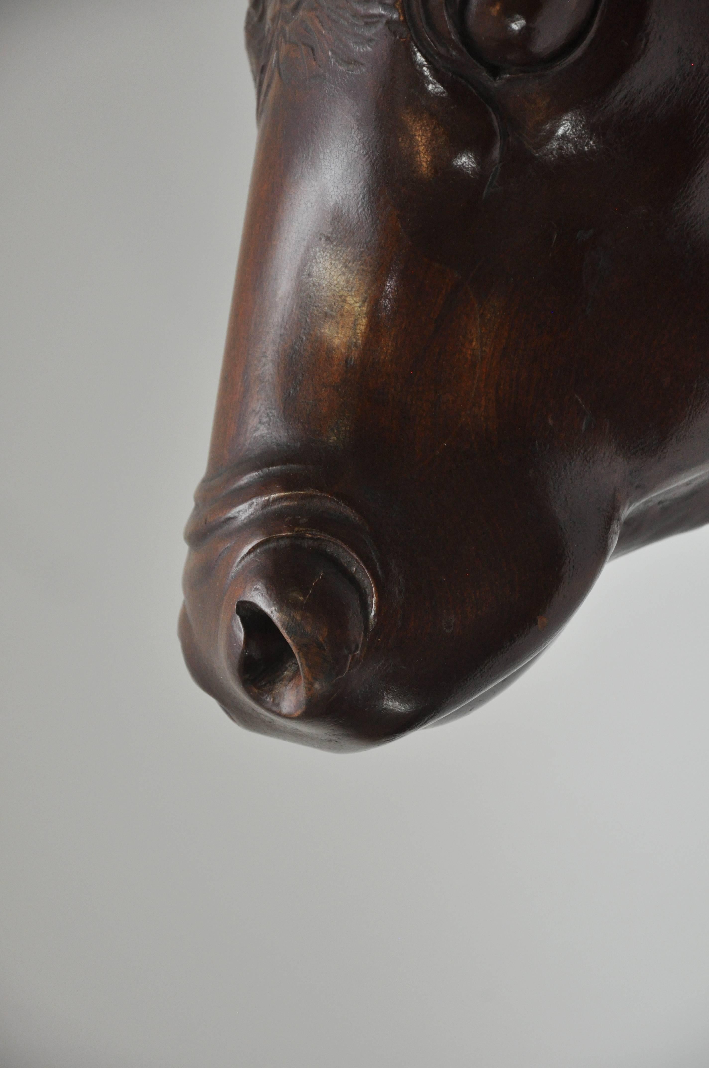 19th Century Mahogany Carved Bull Head from a Butchery, circa 1880 For Sale