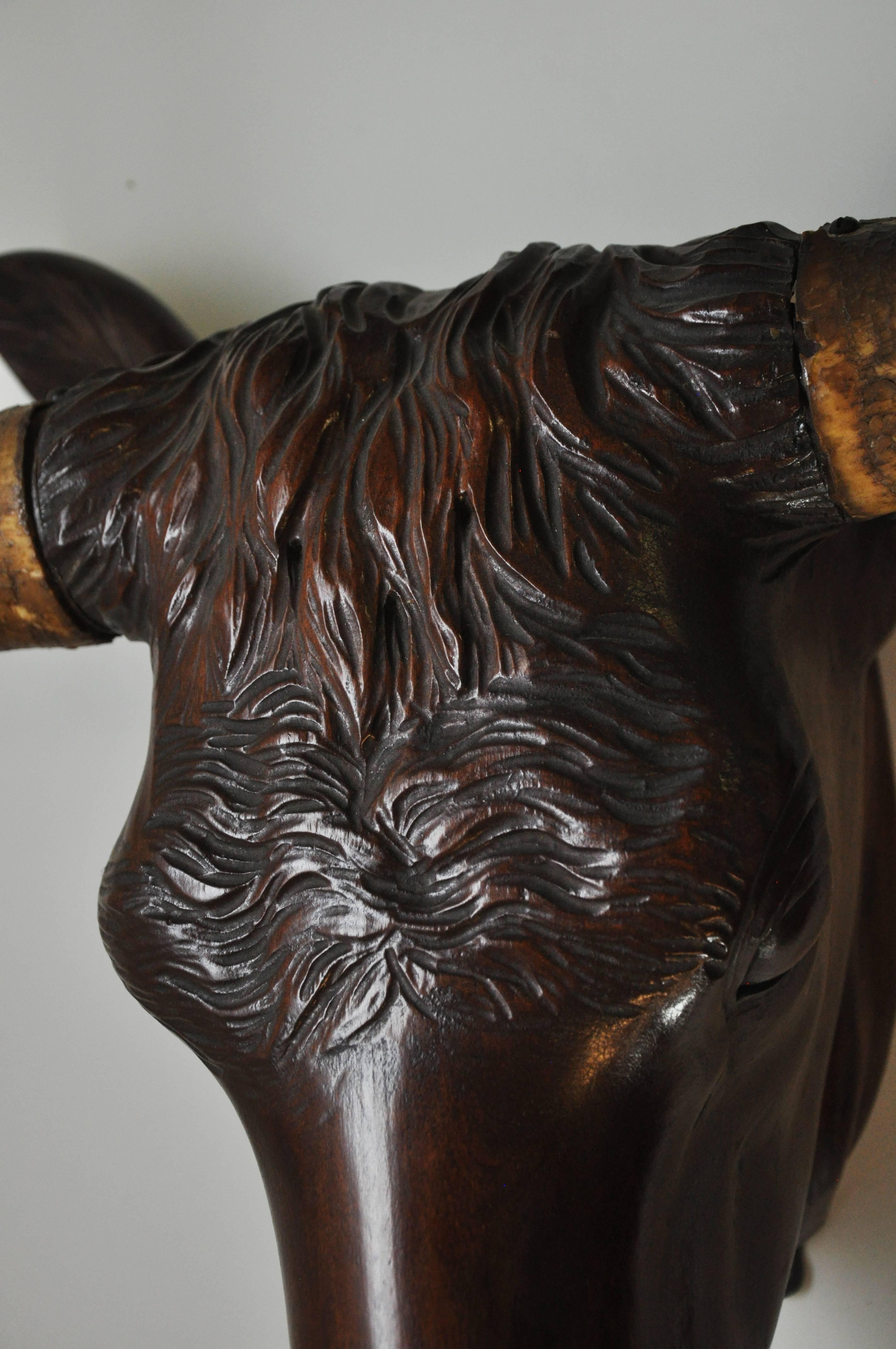 Mahogany Carved Bull Head from a Butchery, circa 1880 For Sale 3