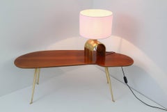 Wooden Free-Form Coffee Table with Brass Legs