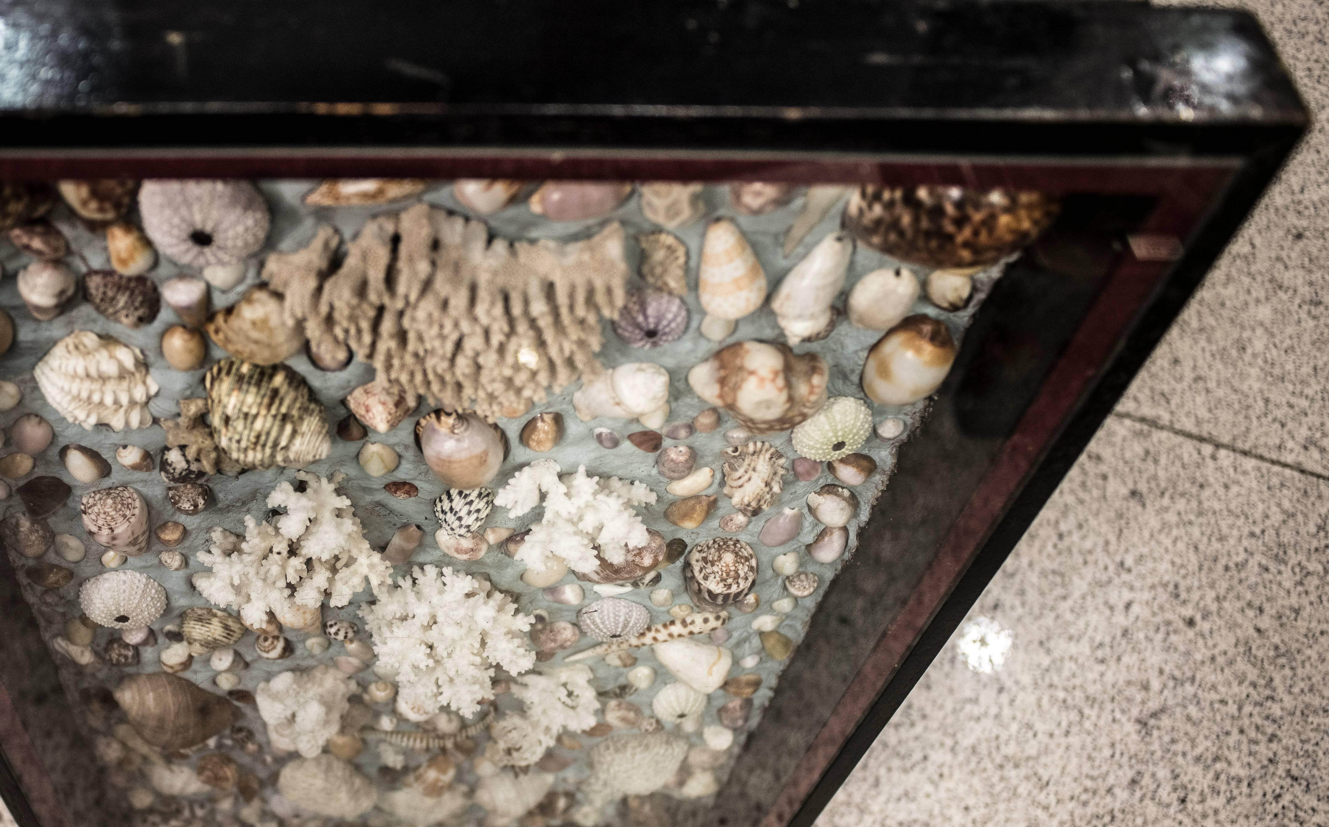 Hand-Crafted Midcentury French Composition of Corals, Shells and Fossils