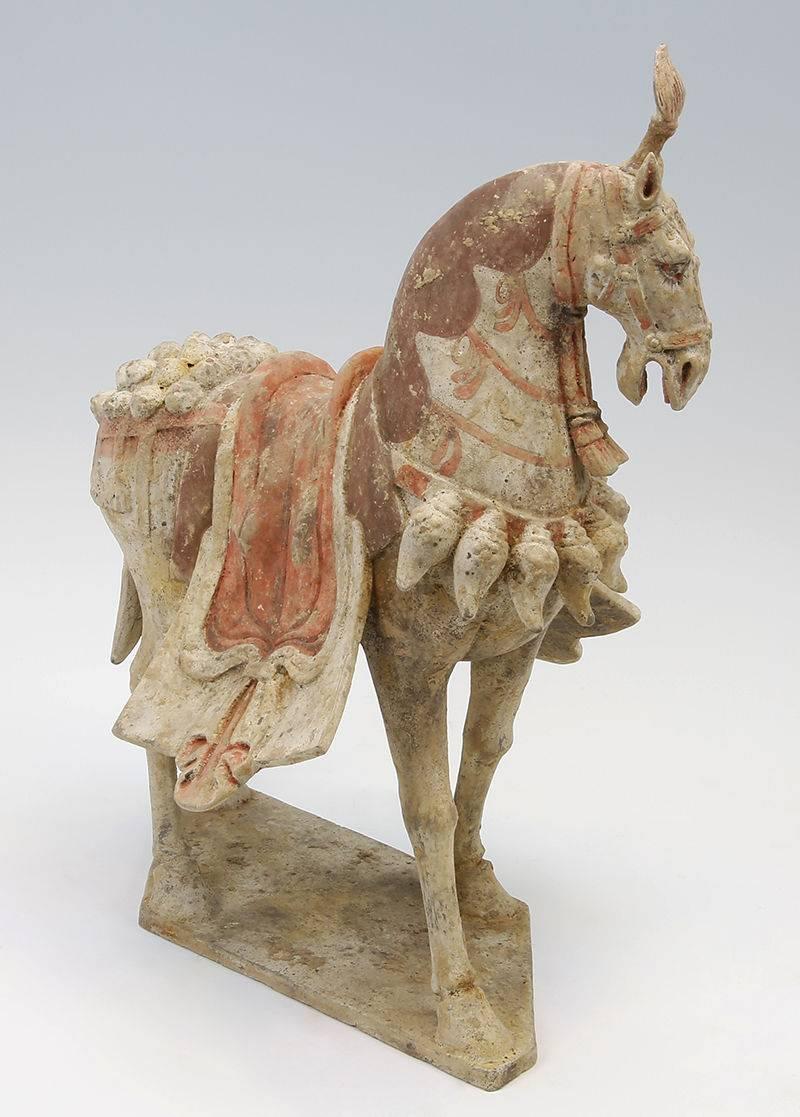 Large example of a Caparisoned riderless horse in ceremonial garb. Most of the original paint and no obvious restoration. A rare example from the short lived Northern Qi dynasty it comes with a TL Certificate from Oxford. Over 43 CM H this is one of