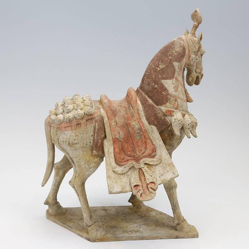 Aesthetic Movement Magnificent Caparisoned Ceremonial Horse from the Northern Qi, 550-577 AD For Sale