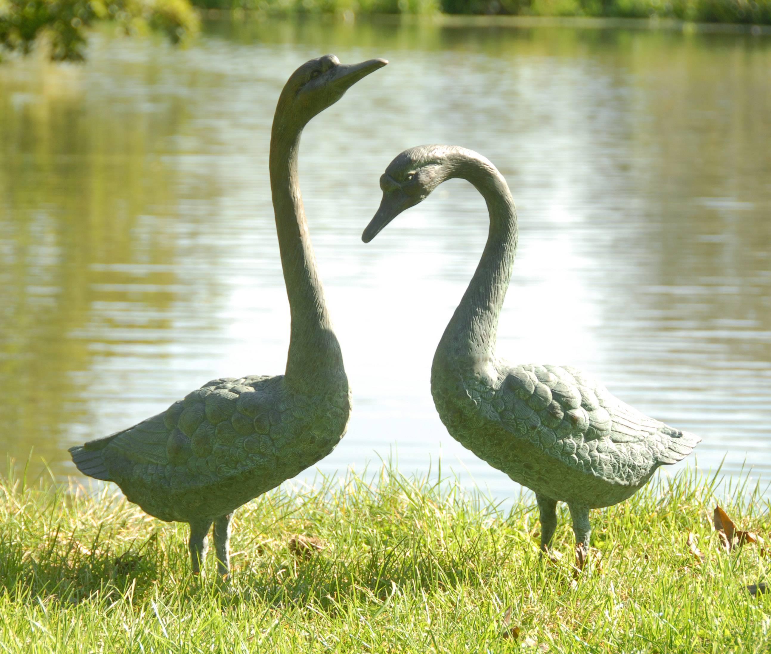 Adorable pair of lifesize patinated bronze statues of geese, 20th century freestanding for outdoor or indoor use.
Measure: The tallest is 27 inches high, the other is 22.5 inches high.

Price includes free shipping.
   