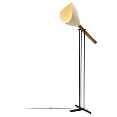 Floor Lamps