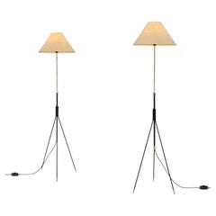 Ein Paar Ständerlampen von Svend Aage Holm-Sørensen (zugeschrieben), Dänemark, ca. 1960er Jahre