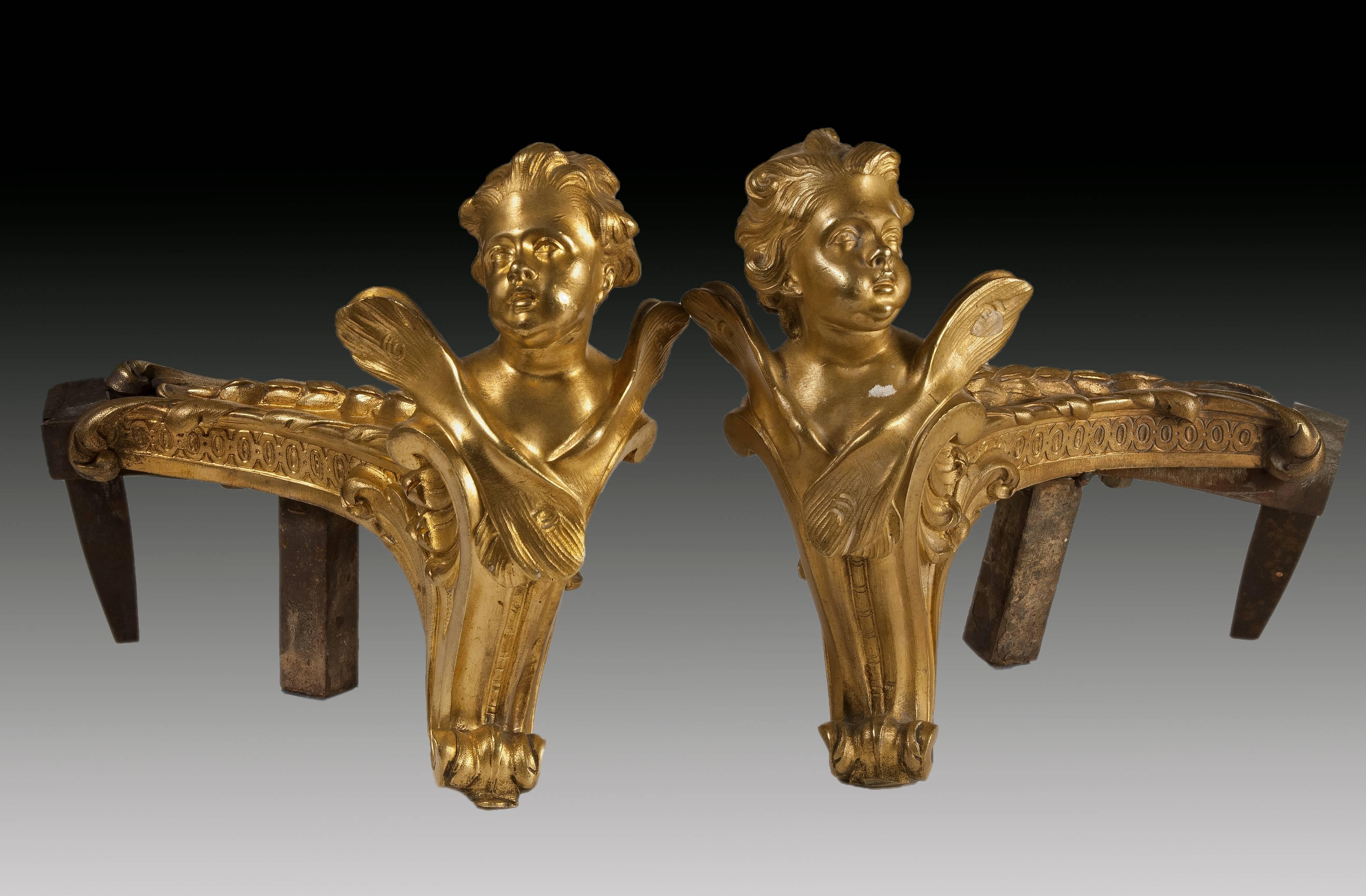 Neoclassical Pair of Andirons in Gilded Bronze and Iron, France, 19th Century  For Sale