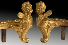 Pair of Andirons in Gilded Bronze and Iron, France, 19th Century