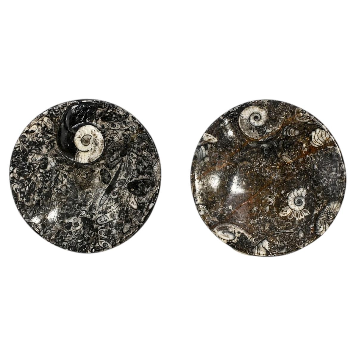 Par de placas de amonita, fósiles naturales, 4,5" en venta