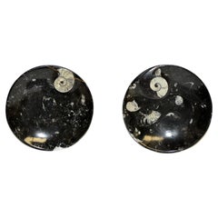 Lot de deux grandes plaques d'ammonite, fossiles naturels noirs et blancs, vieux de plusieurs millions d'années, 6,25 pouces