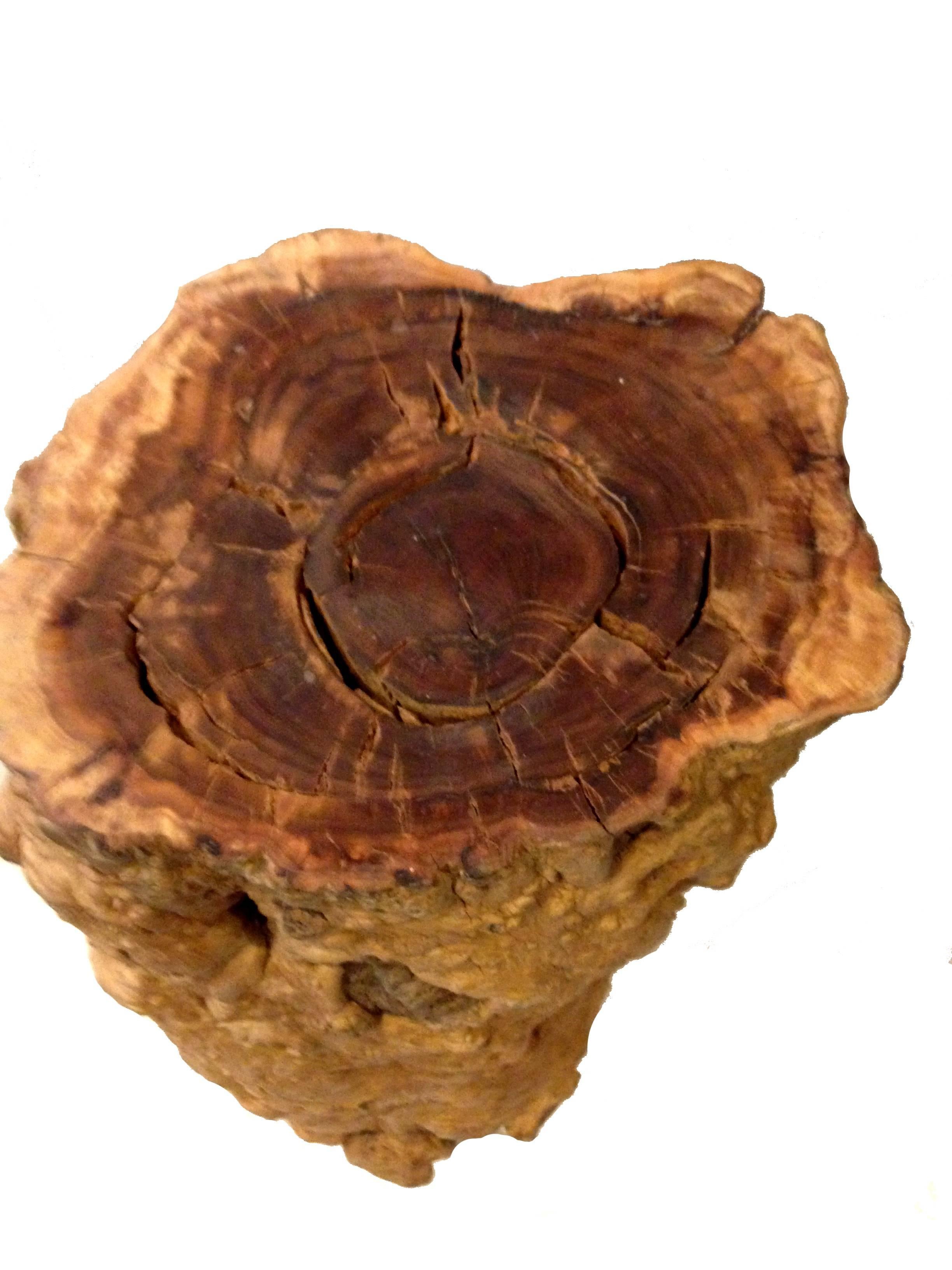 Joinery Rustic Log Country Table with Stools, Burl Jujube Solid Wood Table Set of Four