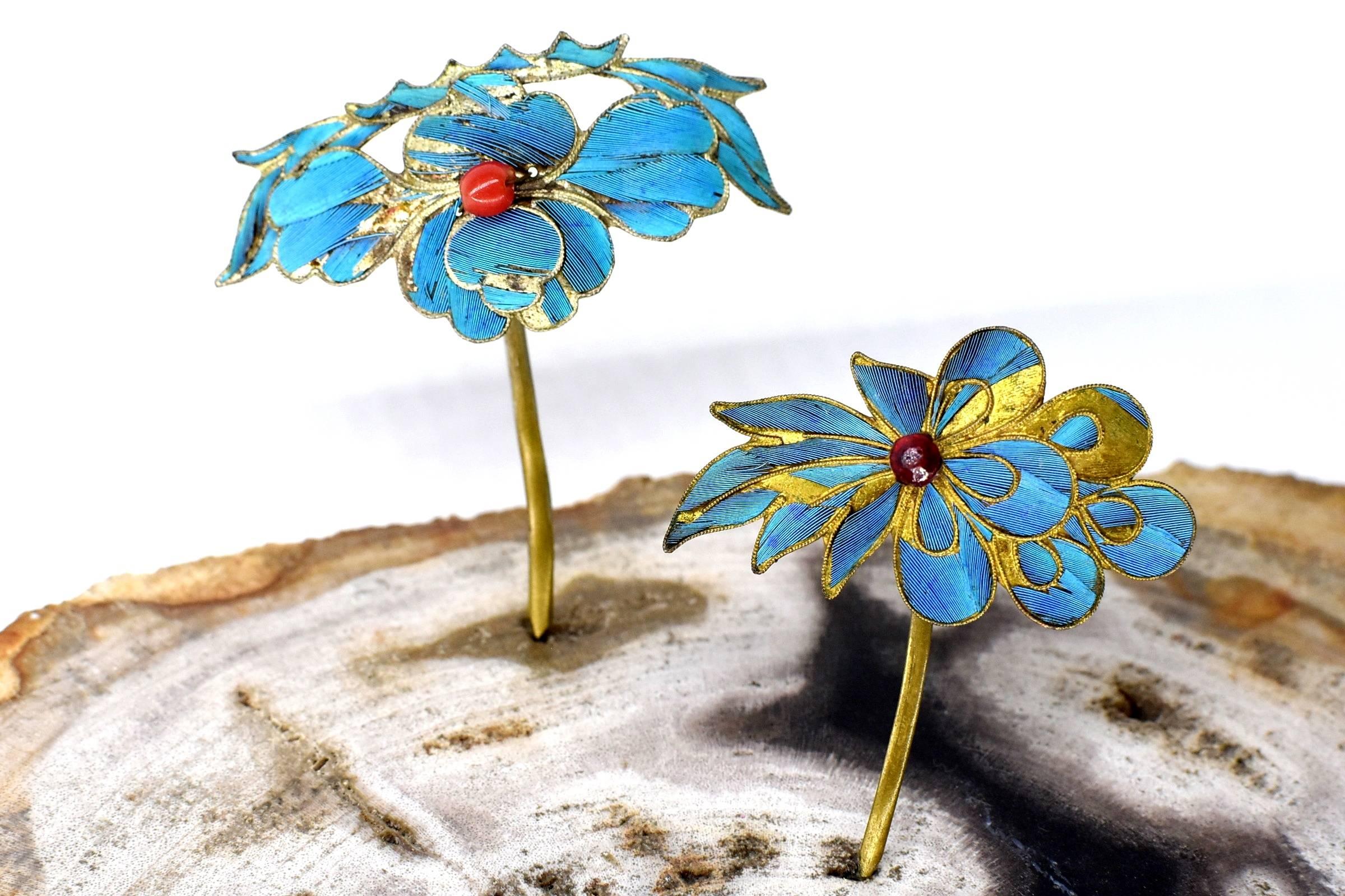 A set of two Chinese kingfisher feather hairpins.

In China's 19th century, the kingfisher feather's beautiful iridescent blue was considered a color of regality. The ladies of the elite class favored jewelries made with the kingfisher father. The