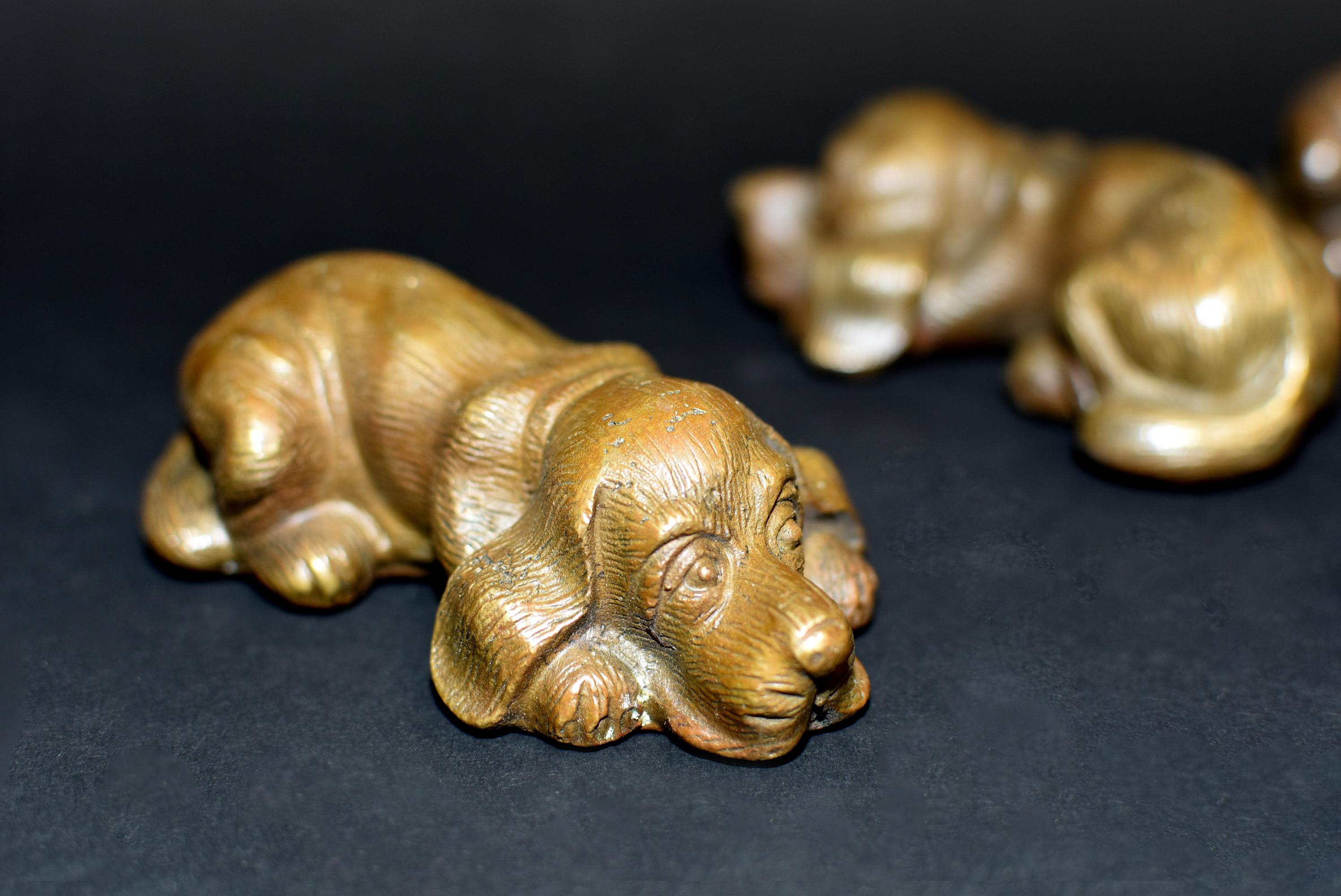 20th Century Set of Four Bronze Puppy Dog Paperweights
