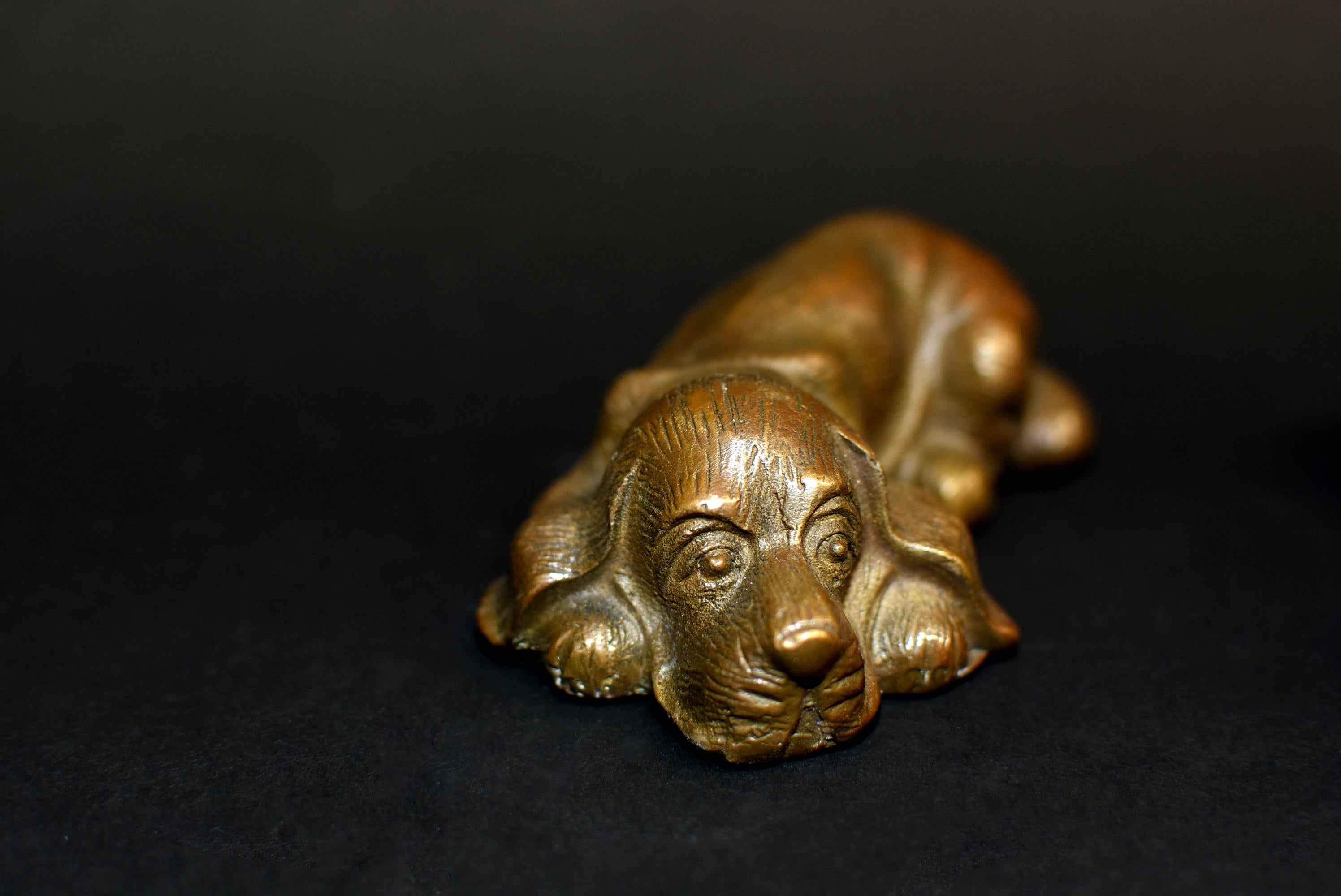 Set of Four Bronze Puppy Dog Paperweights 5