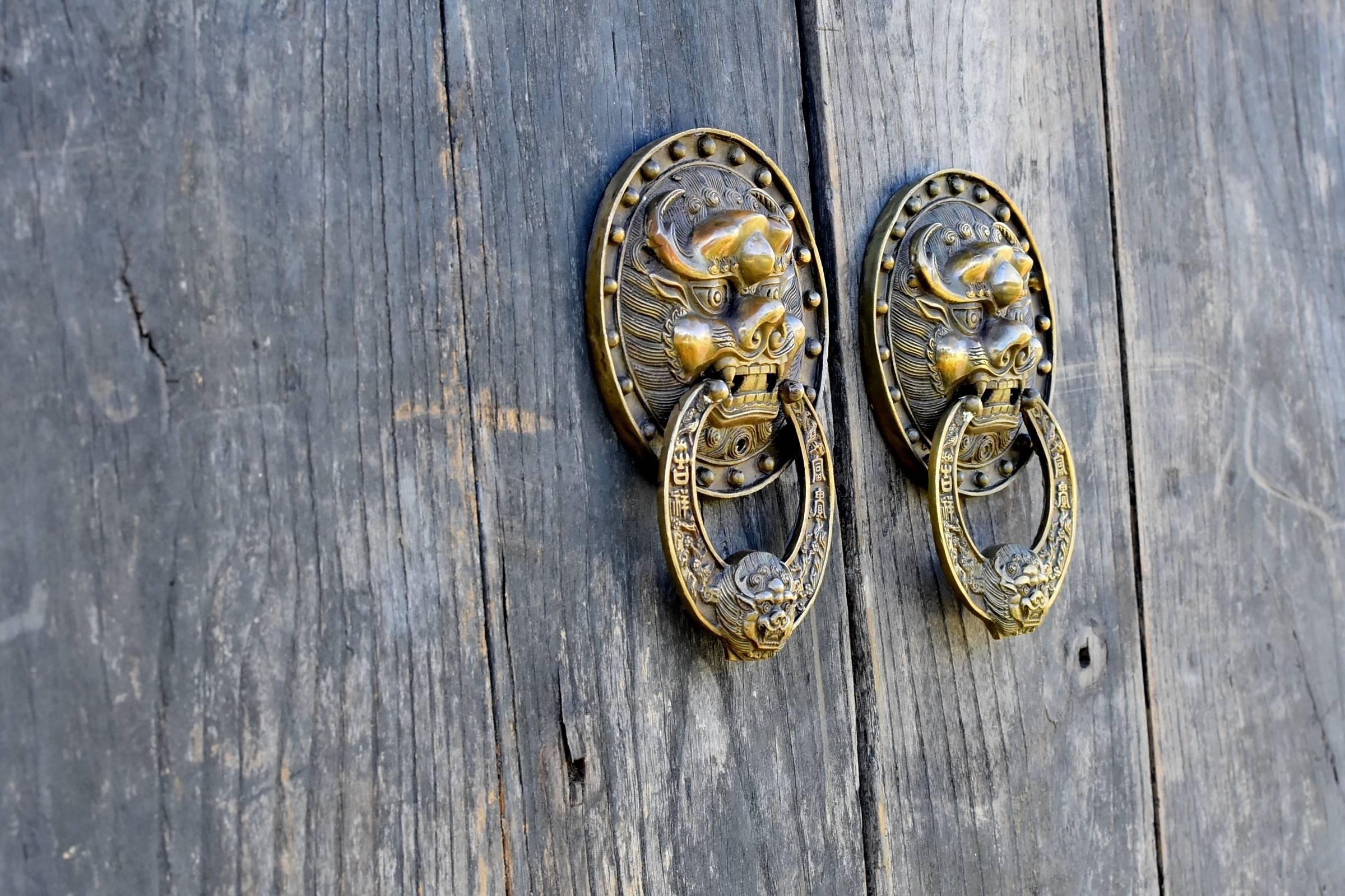 19th Century Rustic Antique Doors with Brass Knockers