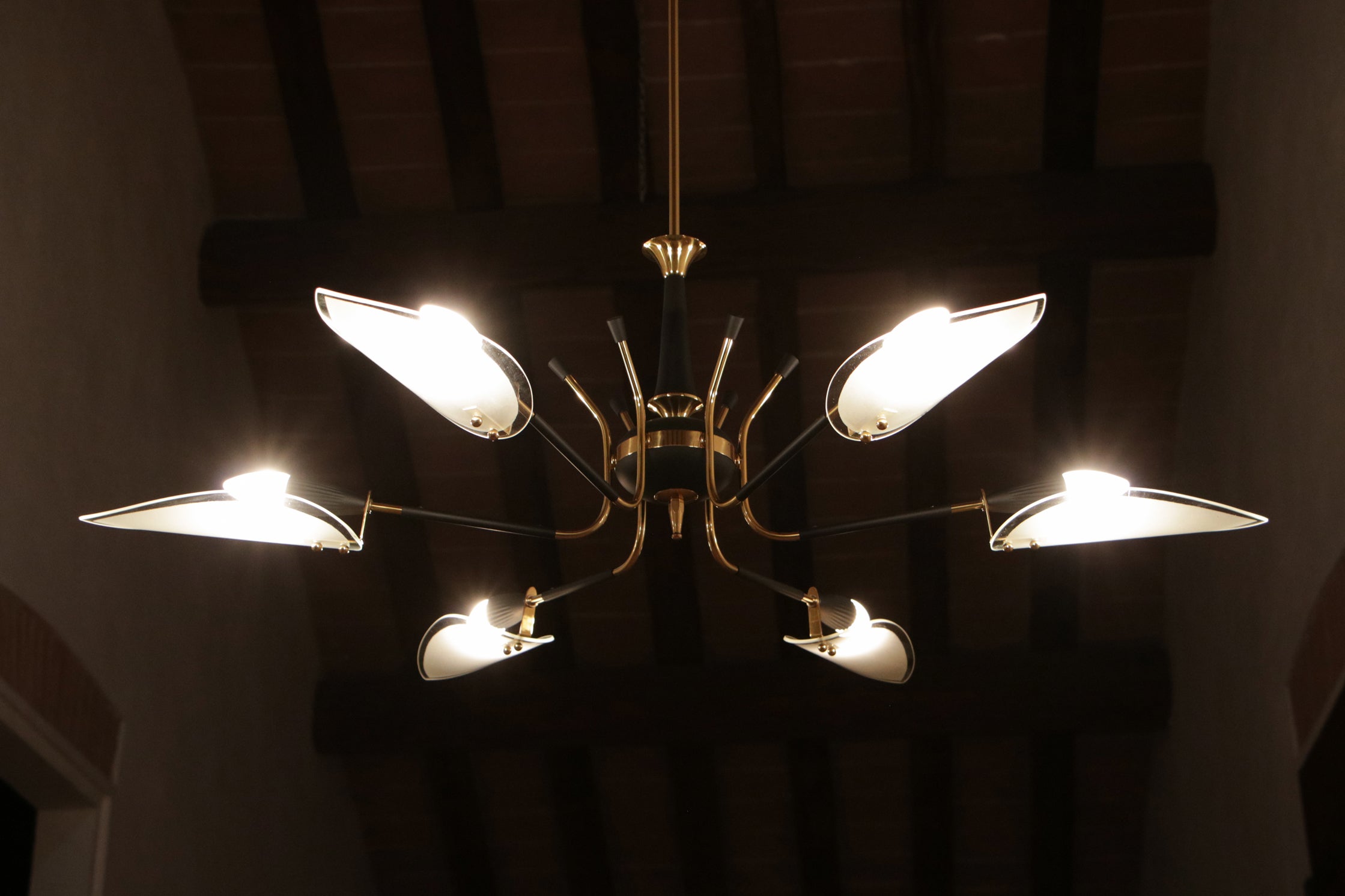 Elegante lampadario a sei luci attribuito a Stilnovo degli anni '50 del XX secolo. Realizzato in ottone lucido e alluminio laccato nero, presenta vetri sabbiati a forma di foglia. Questo lampadario, di grande impatto decorativo, si distingue per la