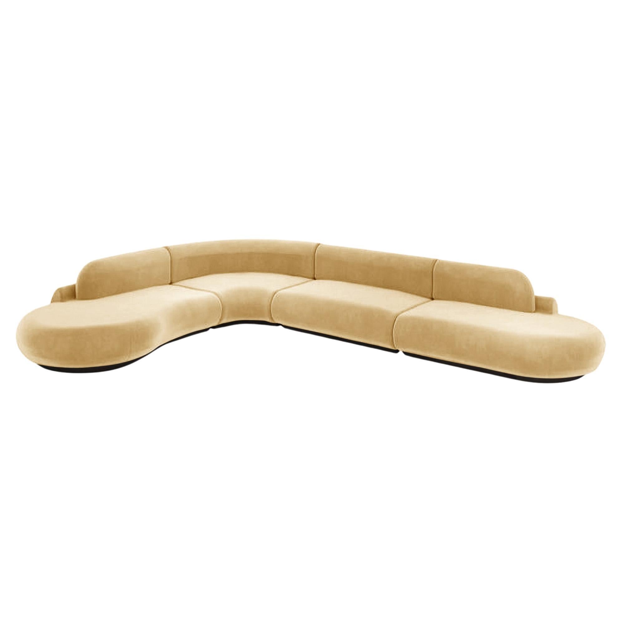 Canapé sectionnel à courbes nues, 4 pièces avec frêne de hêtre-056-5 et rideau Vigo