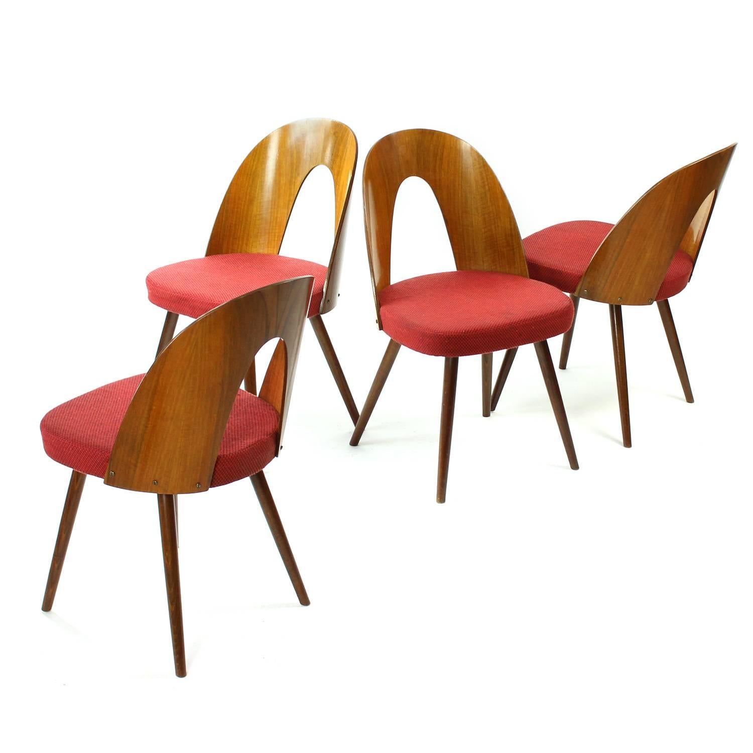 1960s Four Tatra Chairs by Antonin Suman in Original Upholstery, Czechoslovakia 5