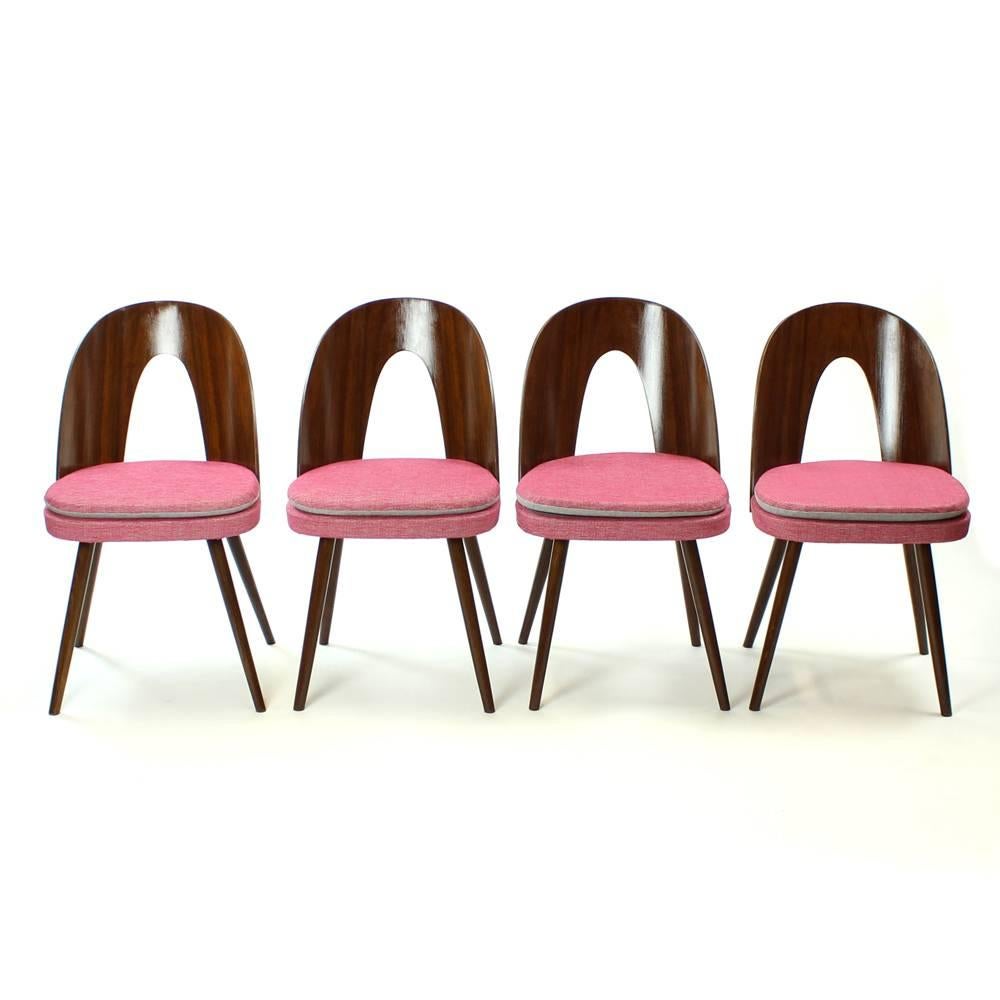Set of four beautiful and completely restored Suman chairs. Designed by Antonin Suman for Tatra furniture company in Czechoslovakia. These chairs are iconic of the style and design. Completely restored wood and new upholstery in young pink and gray