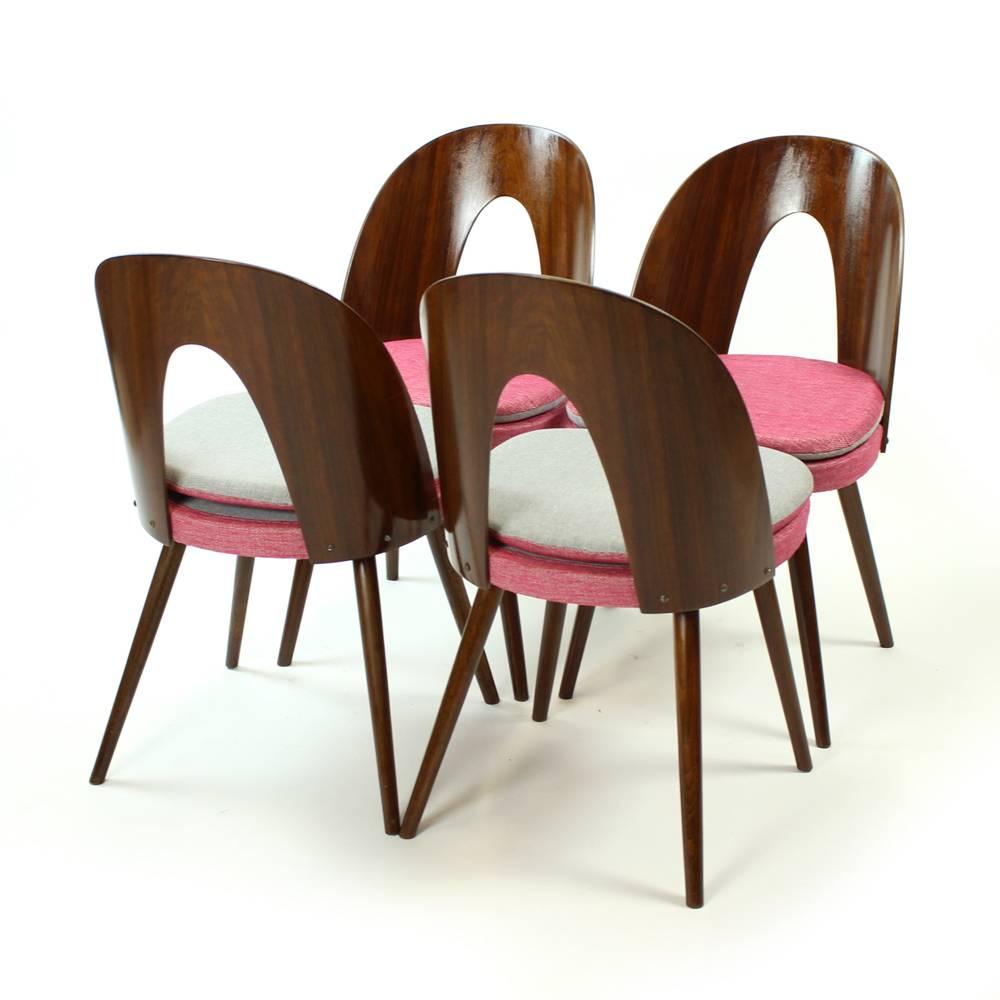 Tatra Chairs by Antonin Suman, Czechoslovakia, circa 1960, Set of Four In Excellent Condition In Zohor, SK