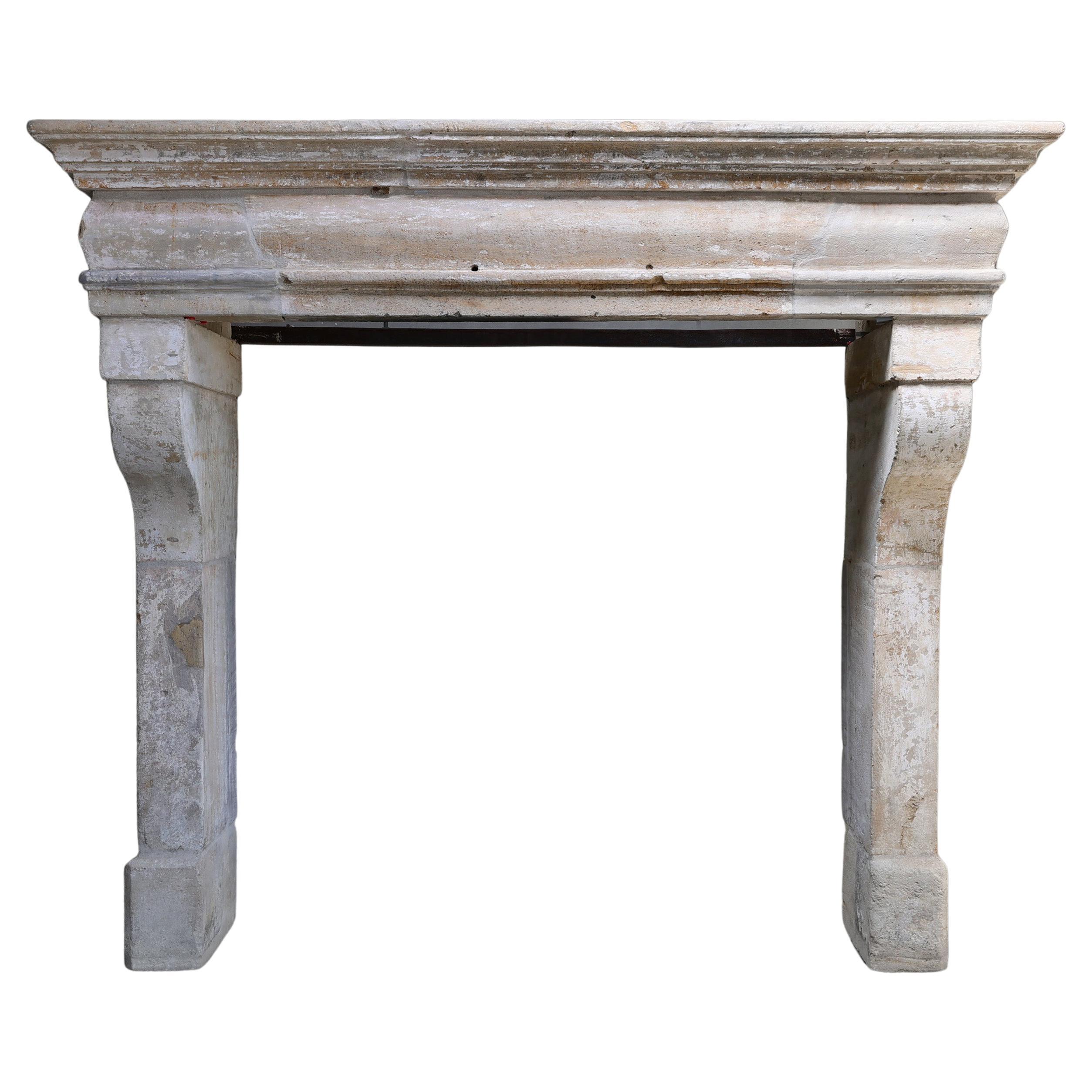 Antique castle fireplace in style of Campagnarde from the 19th century
