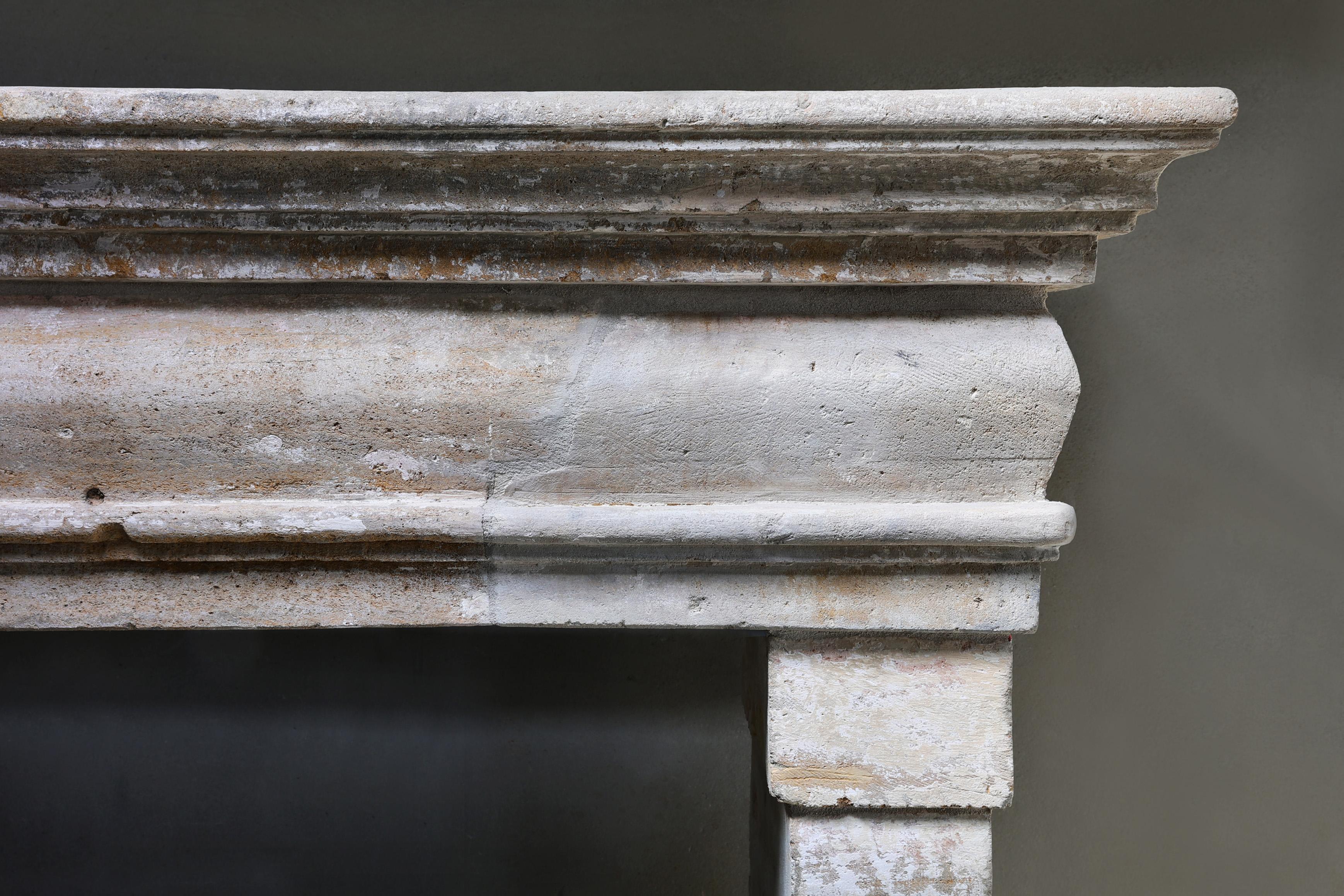 Other Antique castle fireplace in style of Campagnarde from the 19th century For Sale
