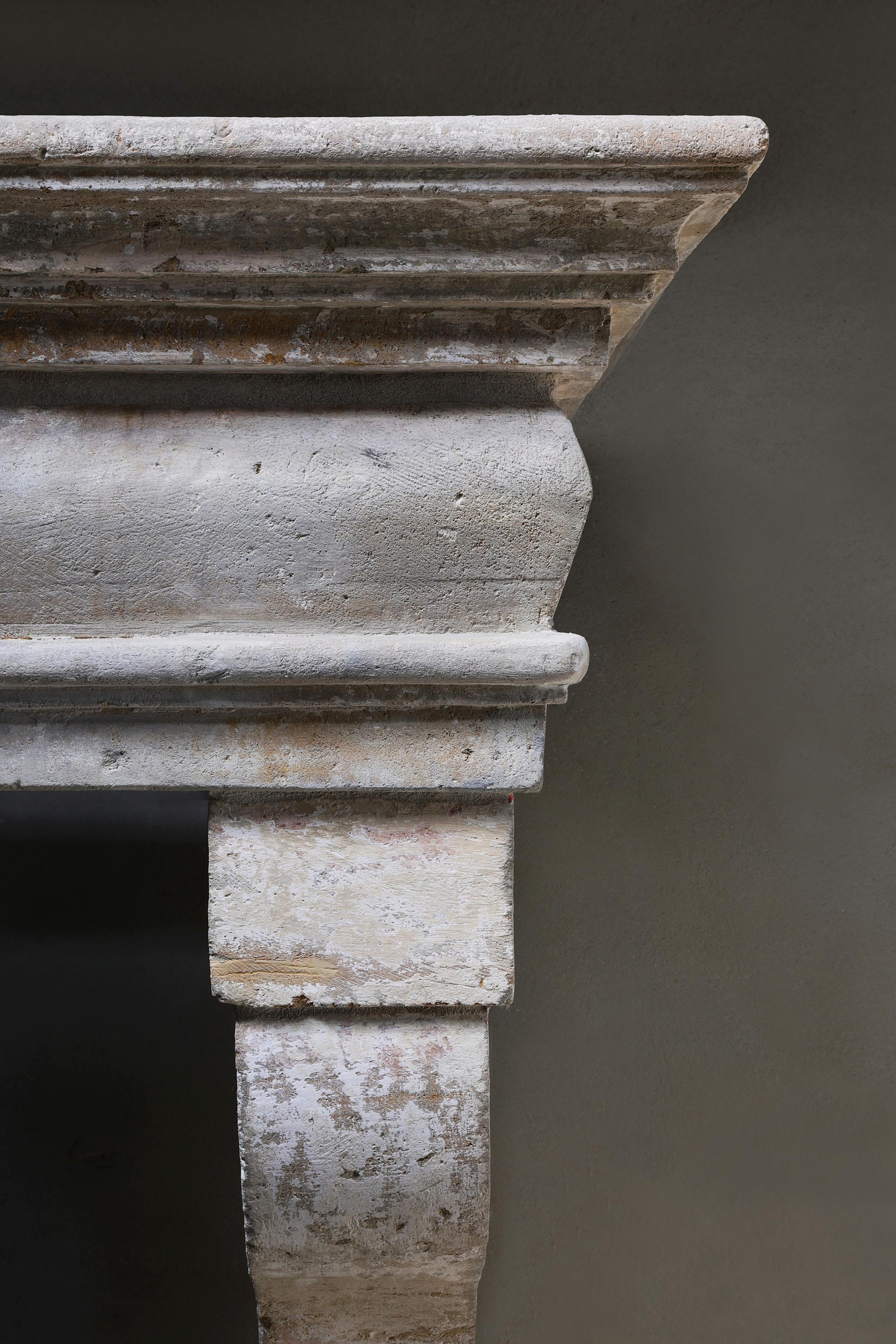 19th Century Antique castle fireplace in style of Campagnarde from the 19th century For Sale