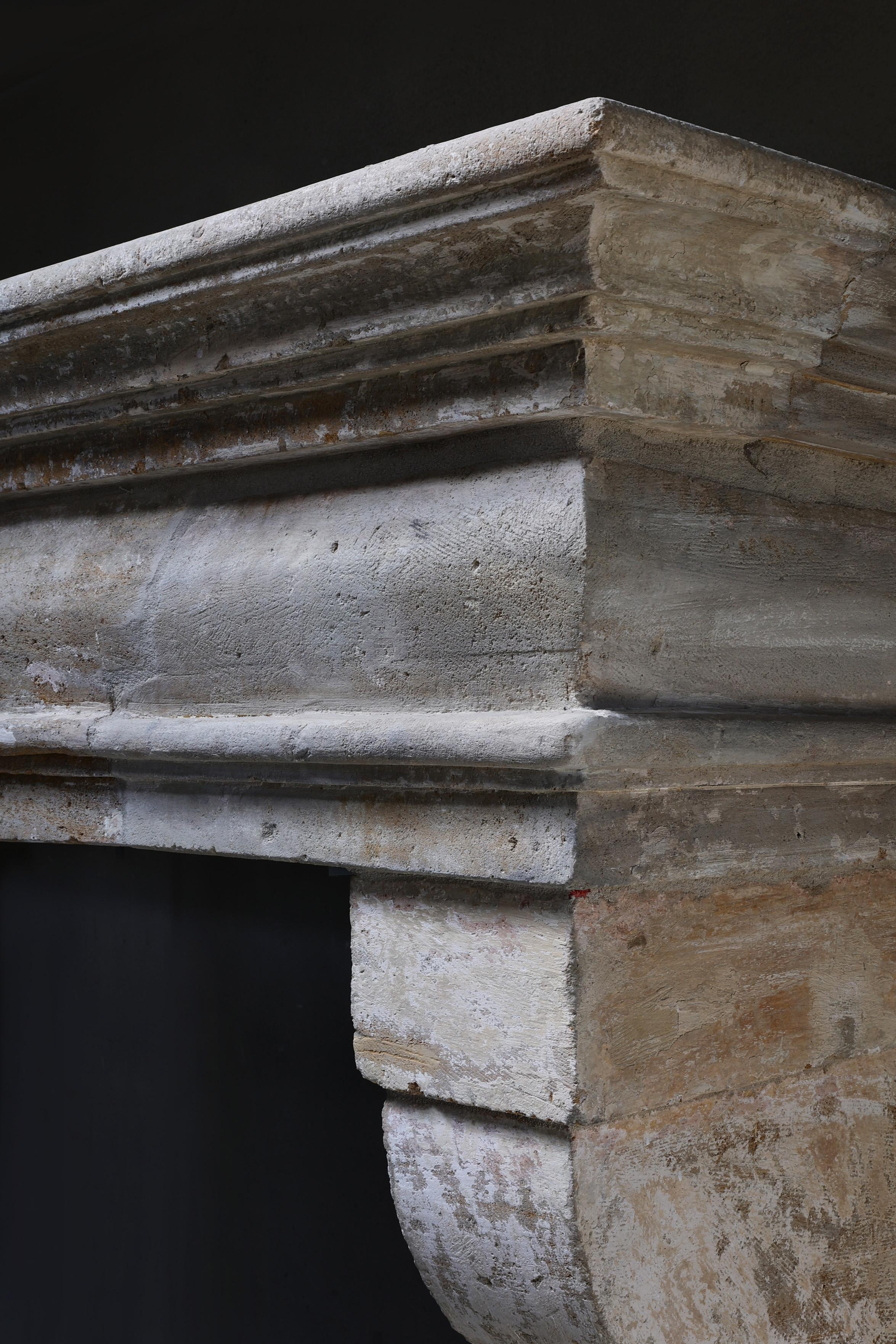Antique castle fireplace in style of Campagnarde from the 19th century For Sale 1