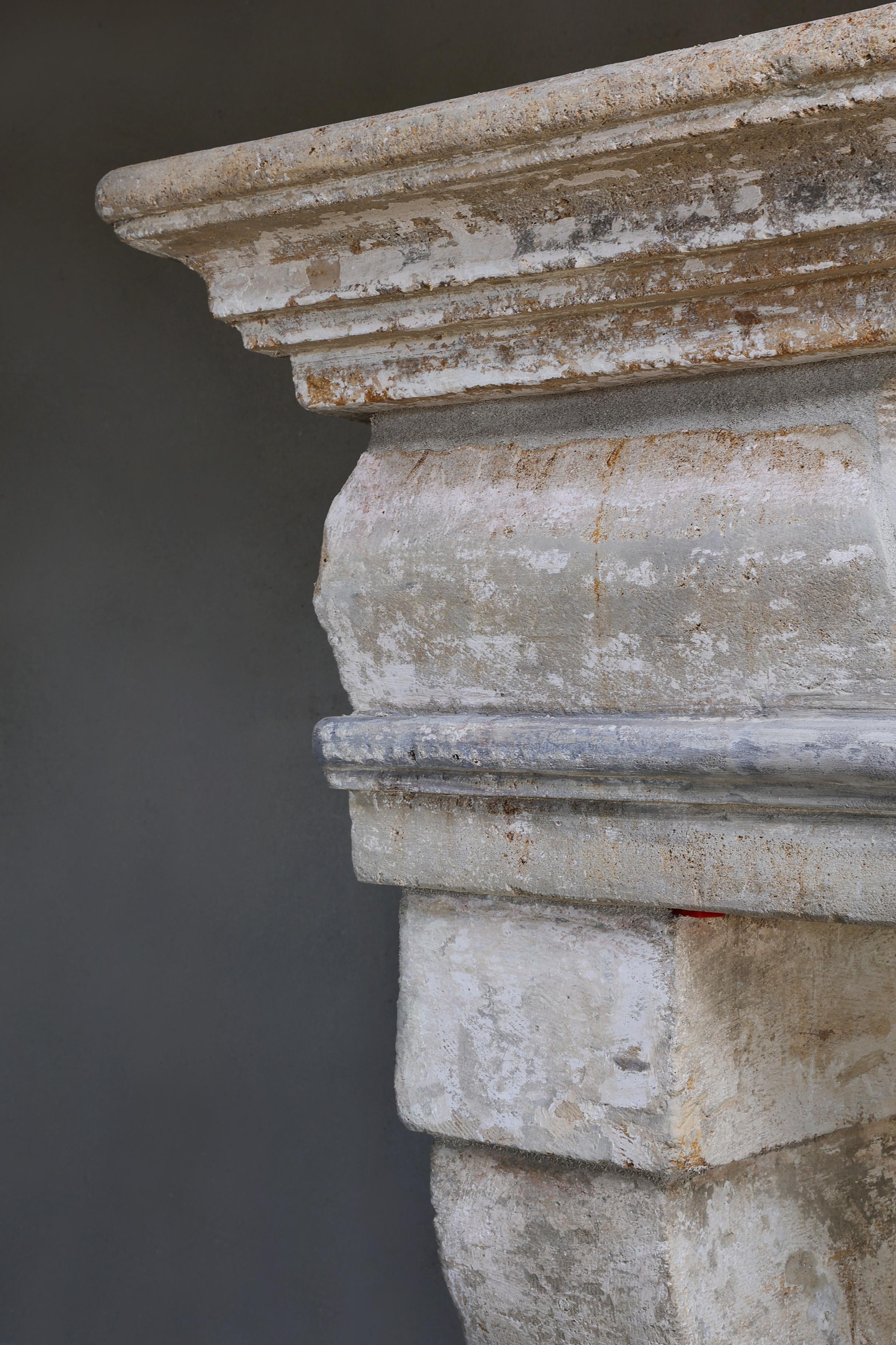 Antique castle fireplace in style of Campagnarde from the 19th century For Sale 3