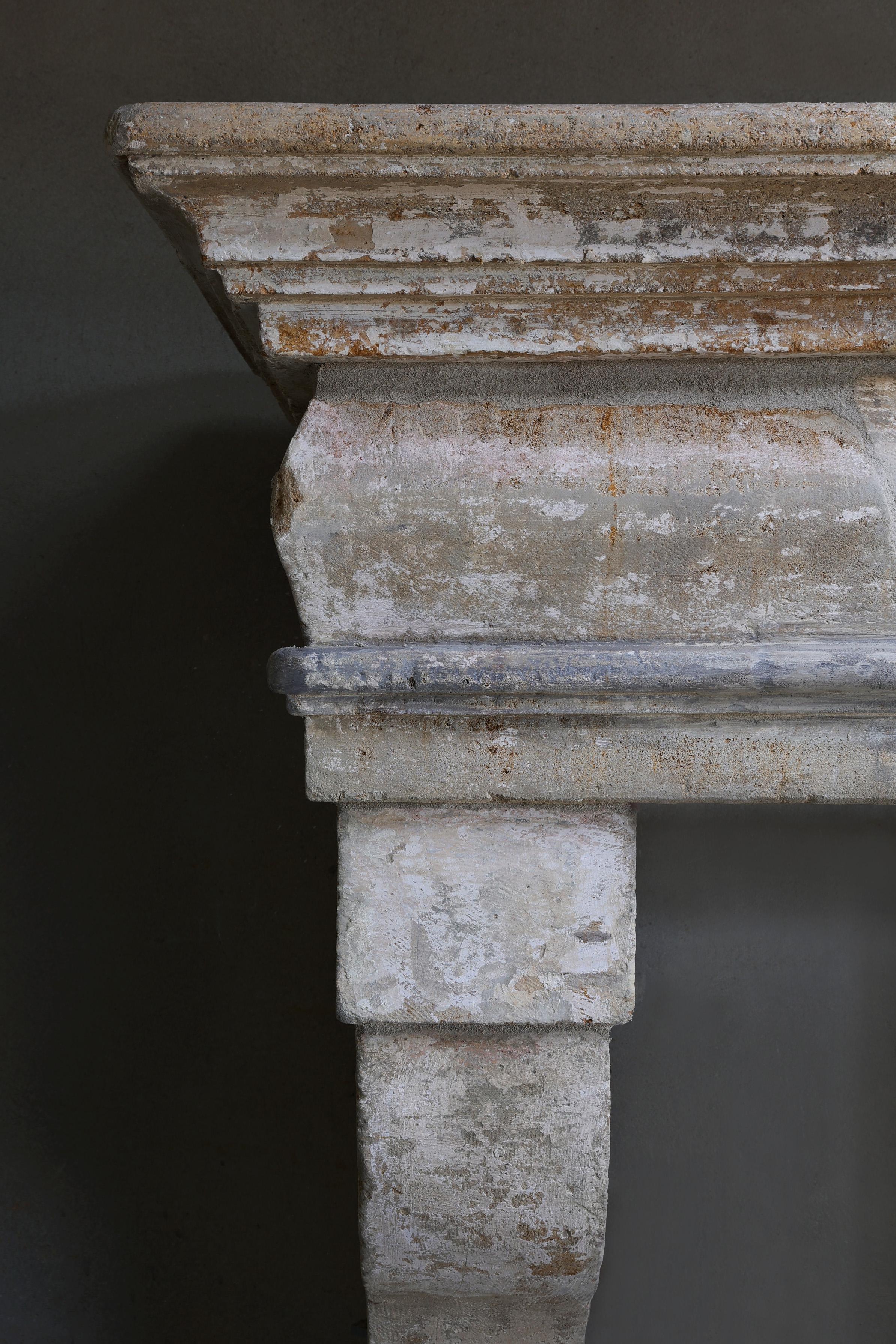 Antique castle fireplace in style of Campagnarde from the 19th century For Sale 2