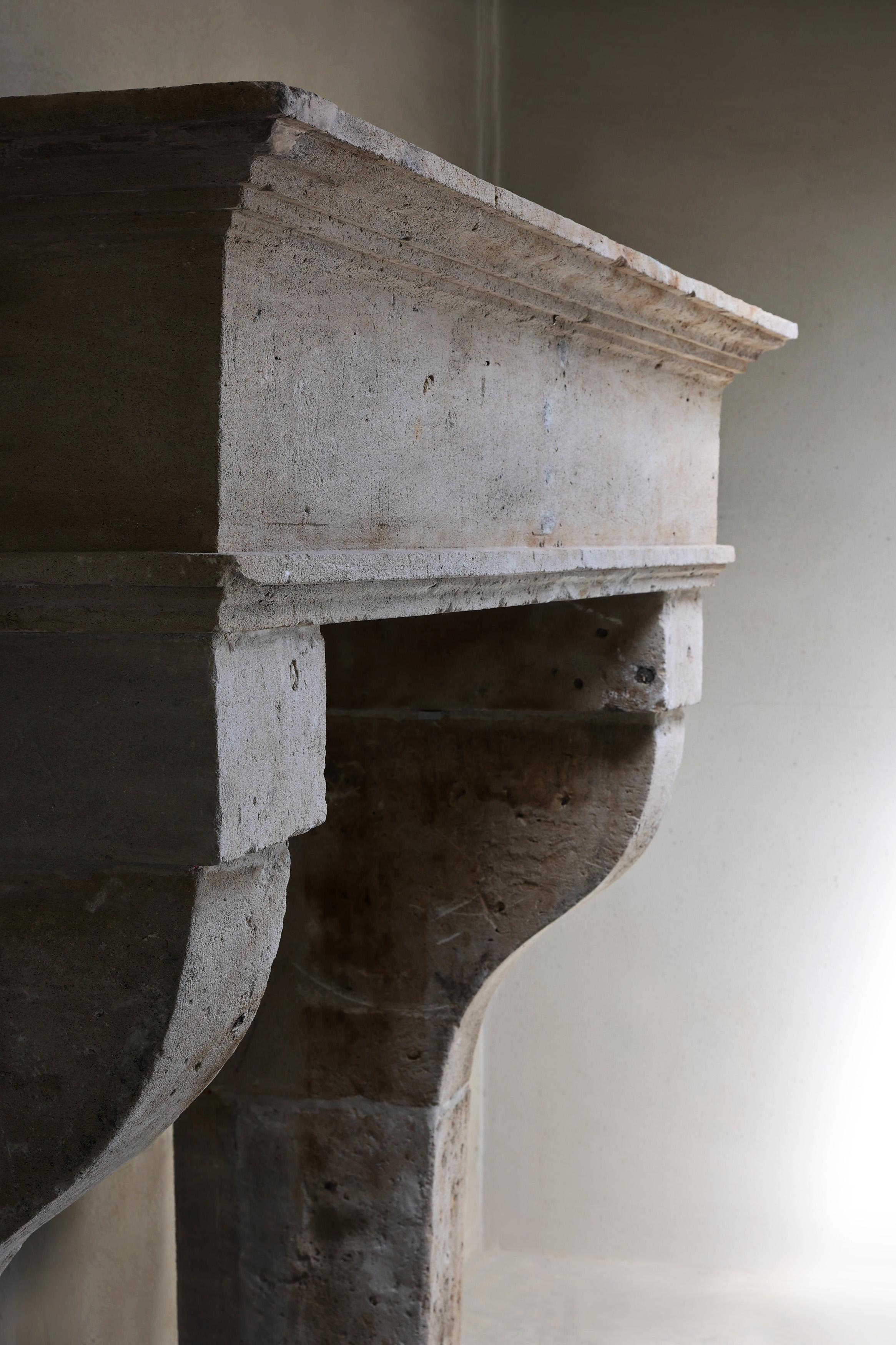 Antico camino da castello in stile Luigi XIII del XIX secolo in vendita 1