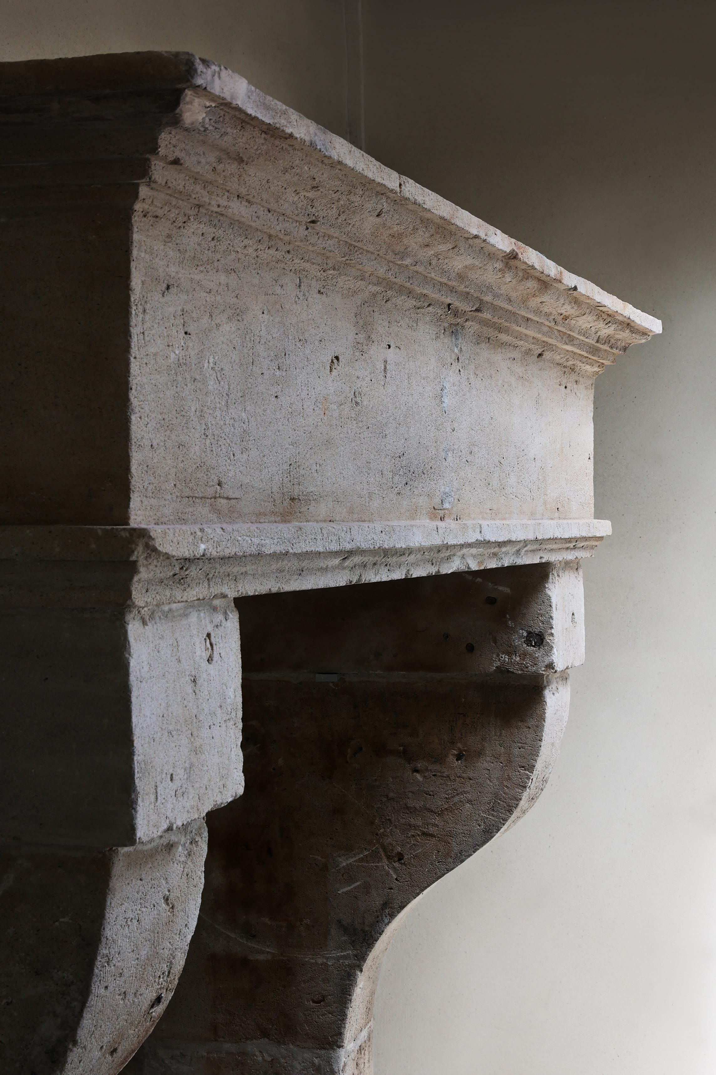 Antico camino da castello in stile Luigi XIII del XIX secolo in vendita 8