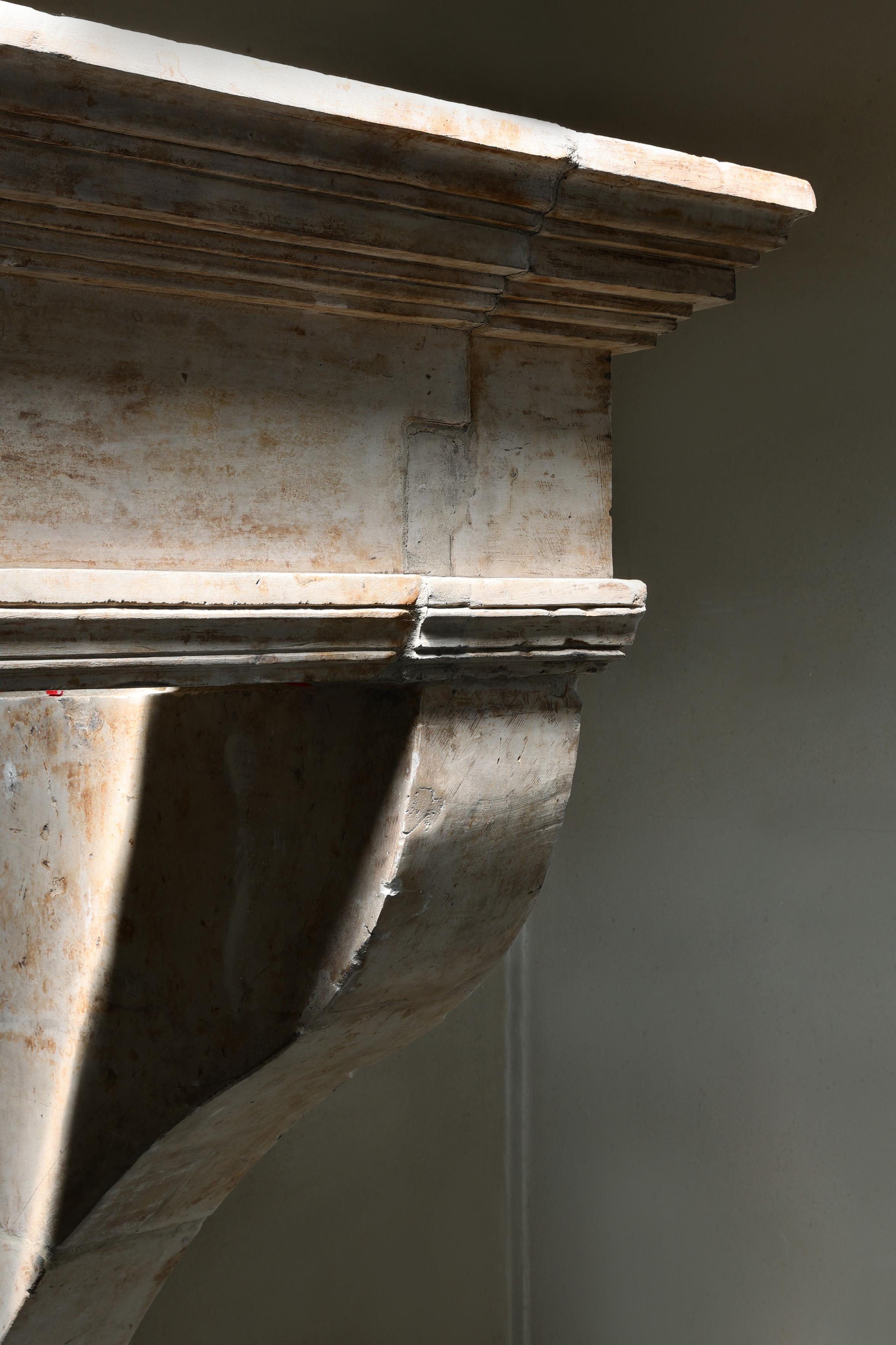 Antico camino da castello in stile Luigi XIII, XIX secolo in vendita 2
