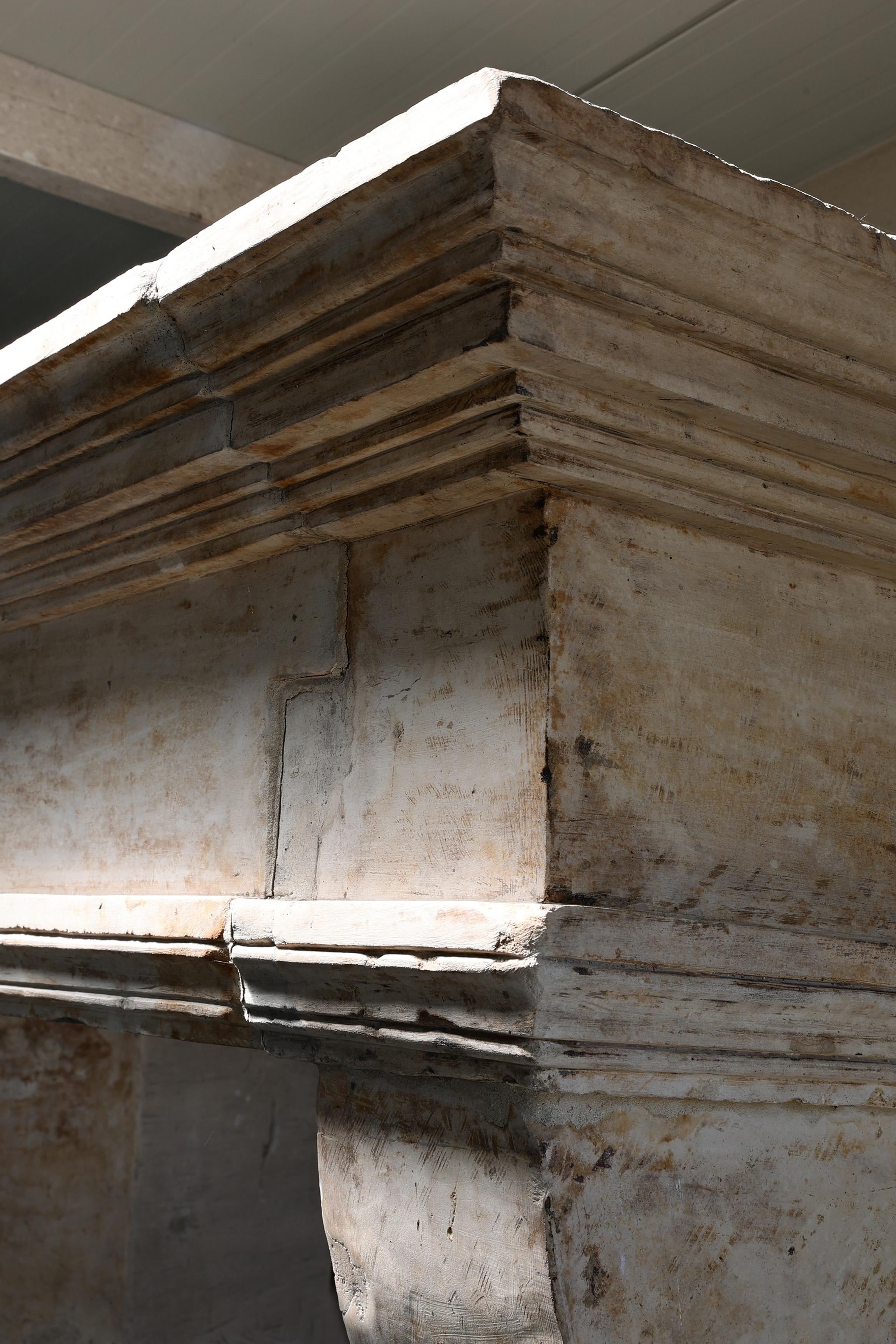 Antico camino da castello in stile Luigi XIII, XIX secolo in vendita 3