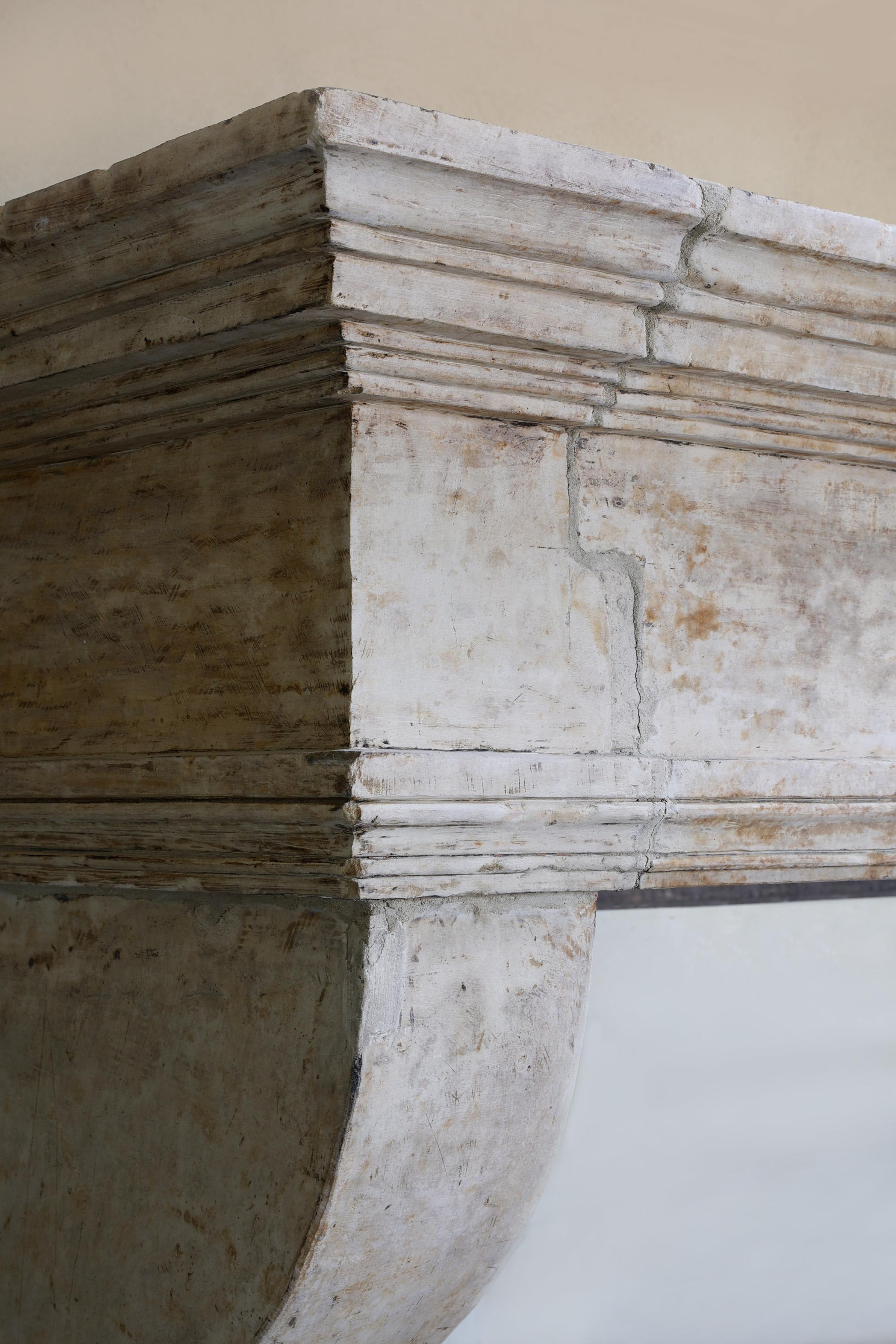 Antico camino da castello in stile Luigi XIII, XIX secolo in vendita 6