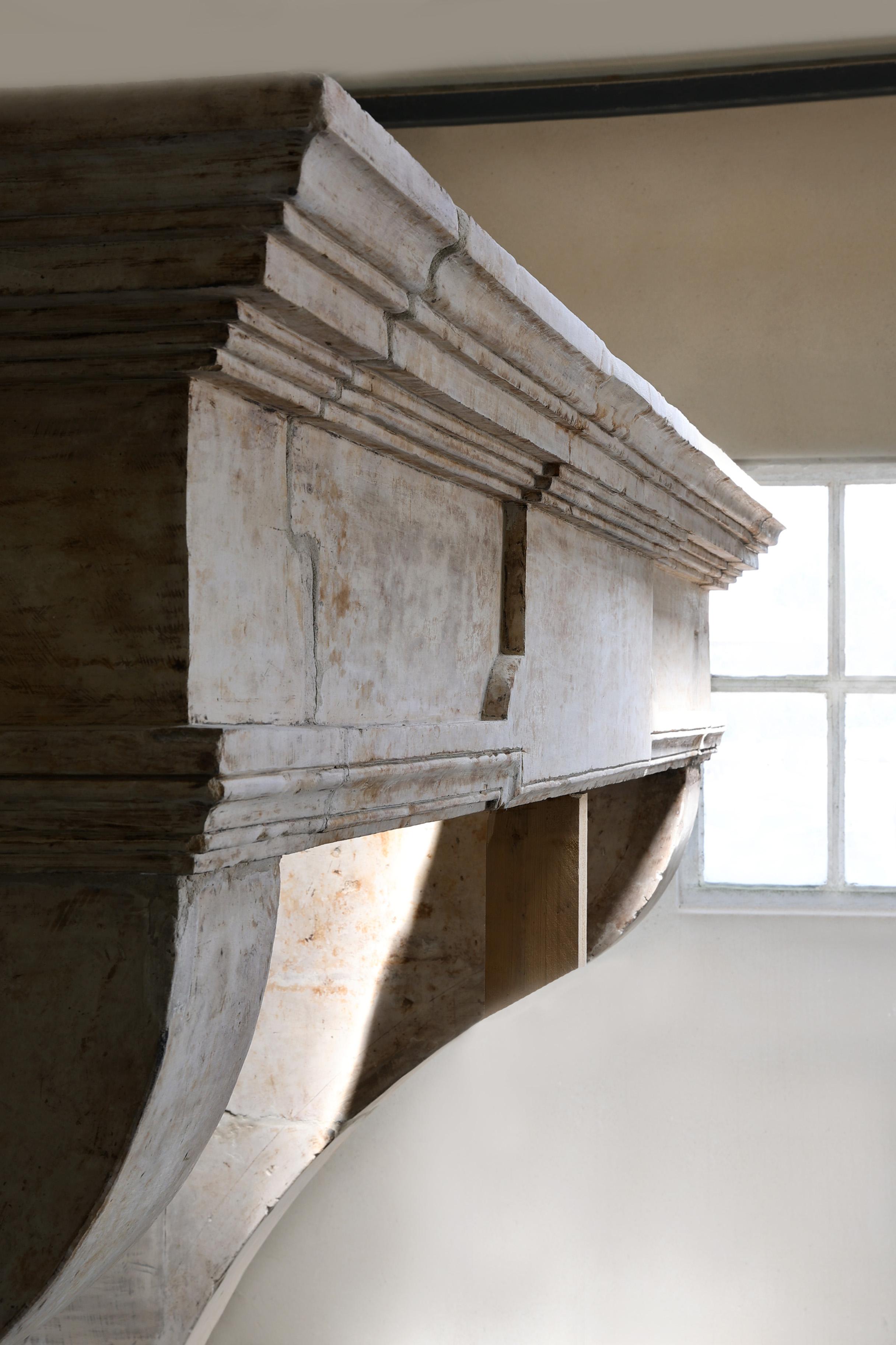 Antico camino da castello in stile Luigi XIII, XIX secolo in vendita 8