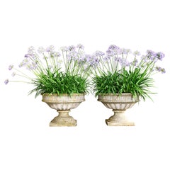 Planters and Jardinieres