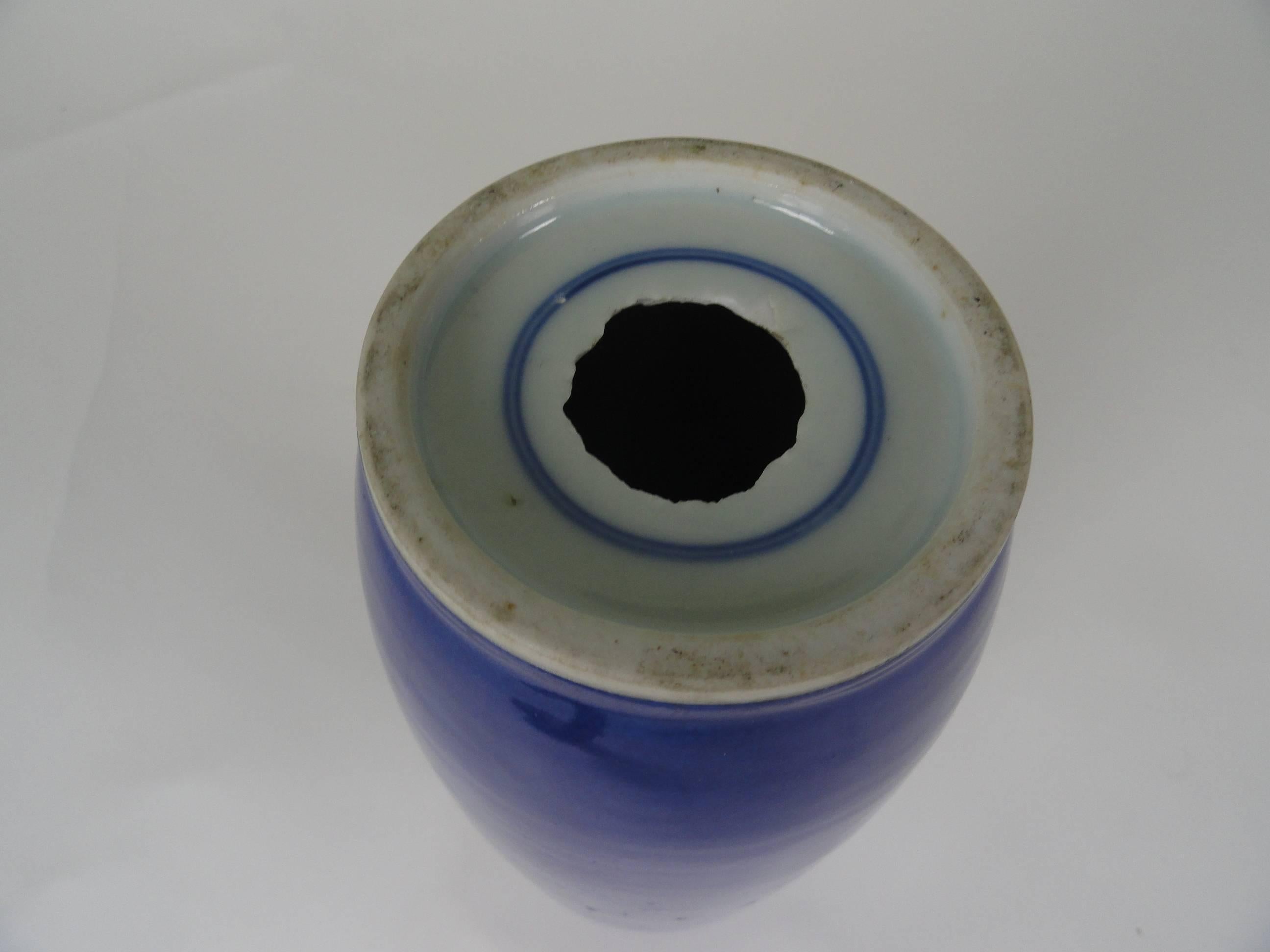 19th Century Chinese Powder Blue Vase For Sale 1