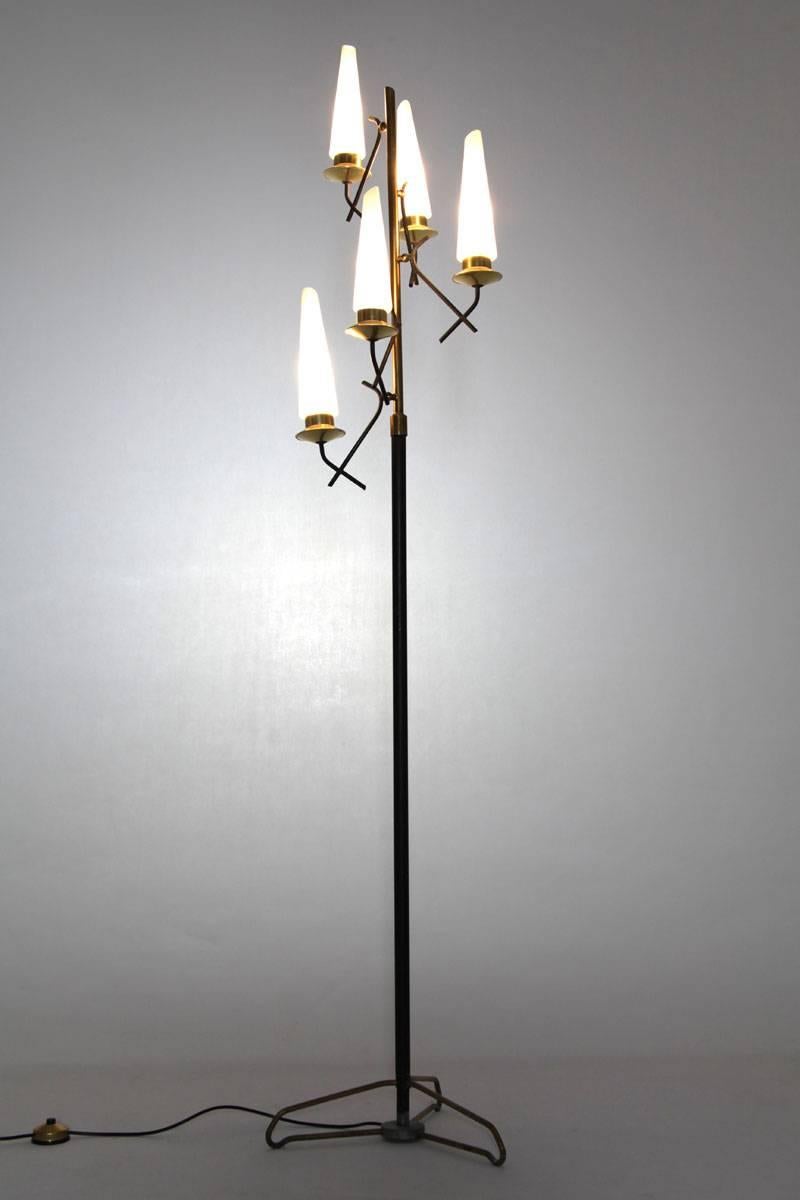 Mid-Century Modern Italian Black Lacquered Floor Lamp with Five Opaline Glass Lights, 1950s For Sale