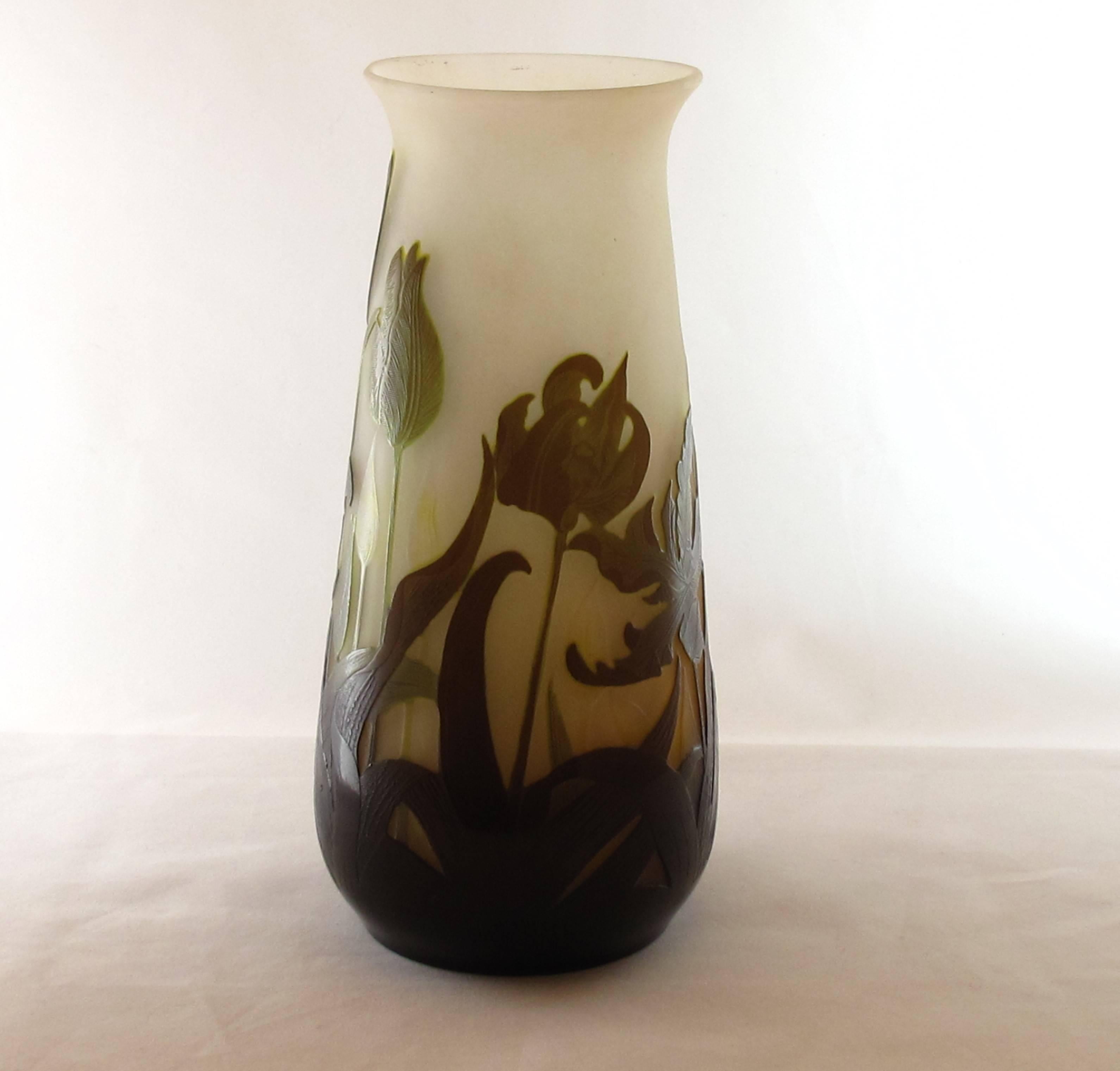 Art Nouveau acid etched cameo glass vase by Emile Galle, French, circa 1900. Finely decorated with botanical tulips. Signed in cameo Galle. Excellent original condition and a stunning piece. Approximate height 25 cm.

Emile Galle Nancy 1846 -