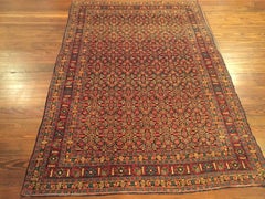 Early 20th Century Antique Persian Tabriz Senneh Rug
