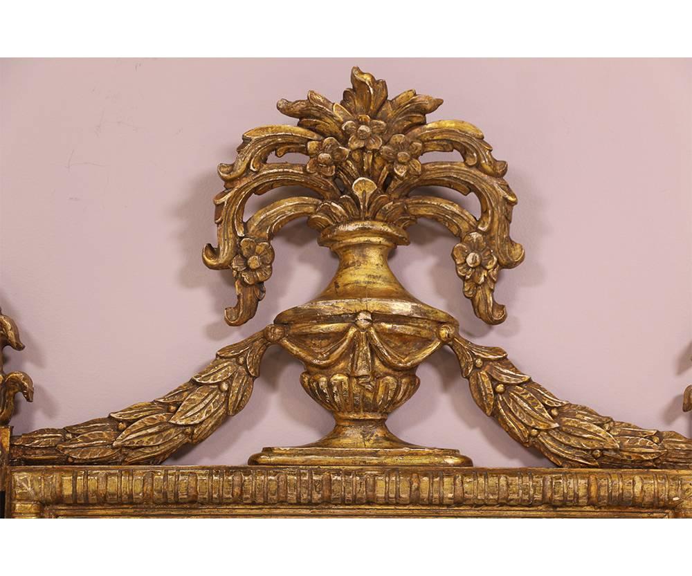 Monumental Pair of Neoclassical Gilt Wood Mirrors 1