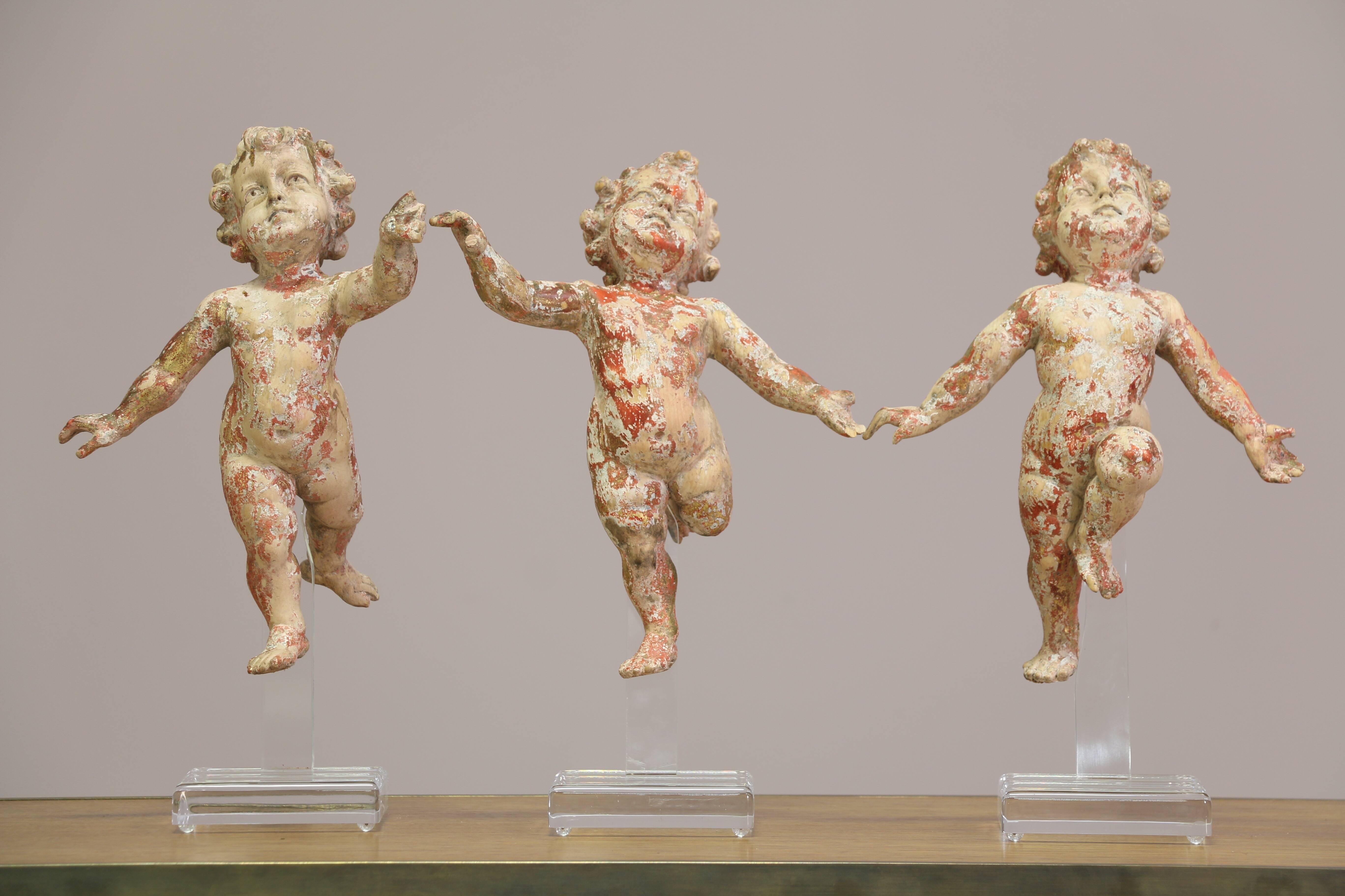 Angelic set of three Italian early 20th century carved giltwood putti each mounted on new custom-made acrylic stands. Minor wood loss and restoration. Paint finish is naturally distressed. Measurements are for each sculpture. Sold as a set of three.