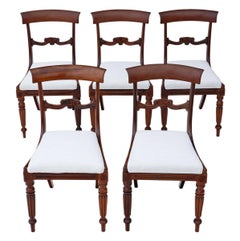 Antique Quality Set of Four William IV Rosewood Bar Back Dining Chairs