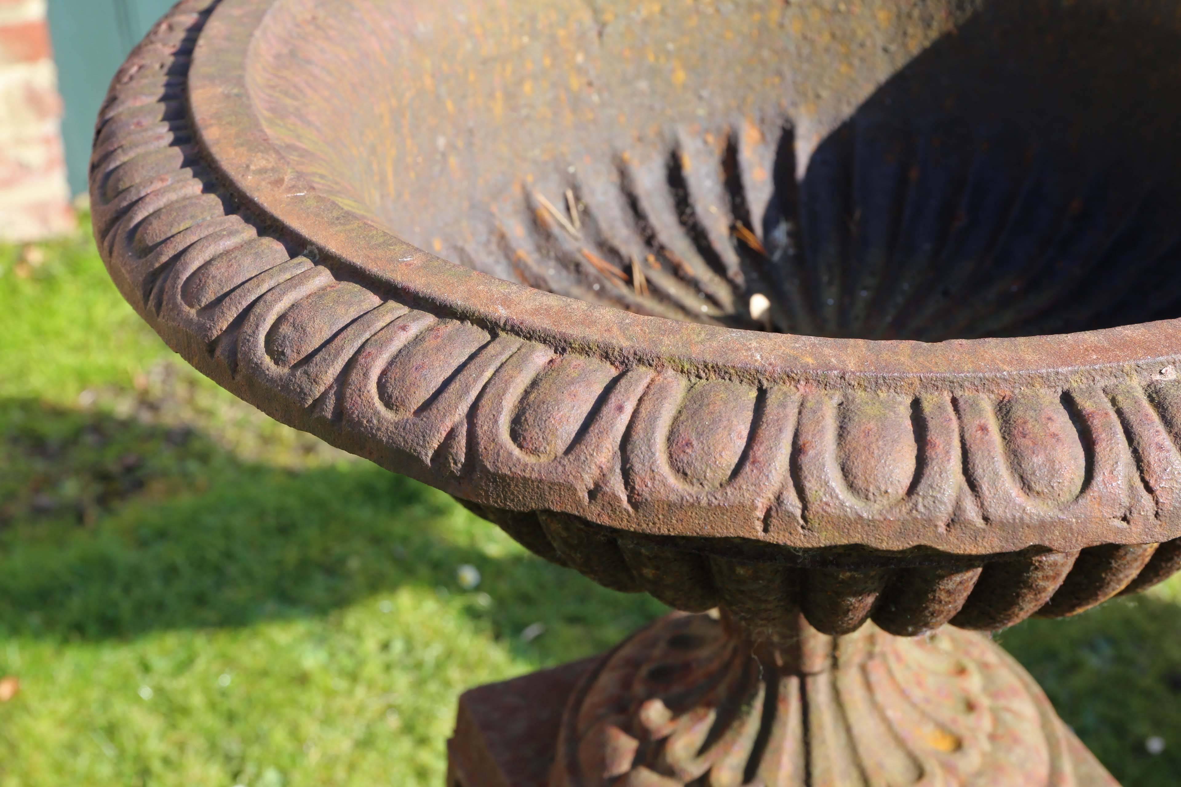 19th Century Large Antique Pair of Victorian Cast Iron Planters Classical Urns on Plinths For Sale